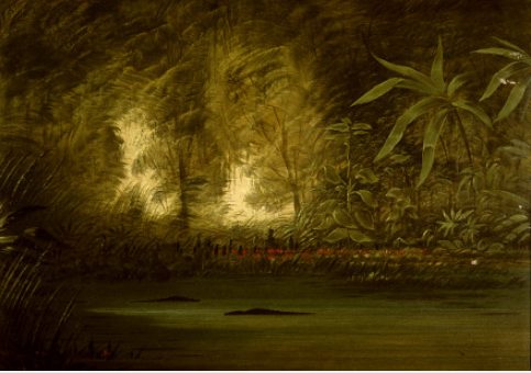 Une lagune du Haut Amazone - George Catlin