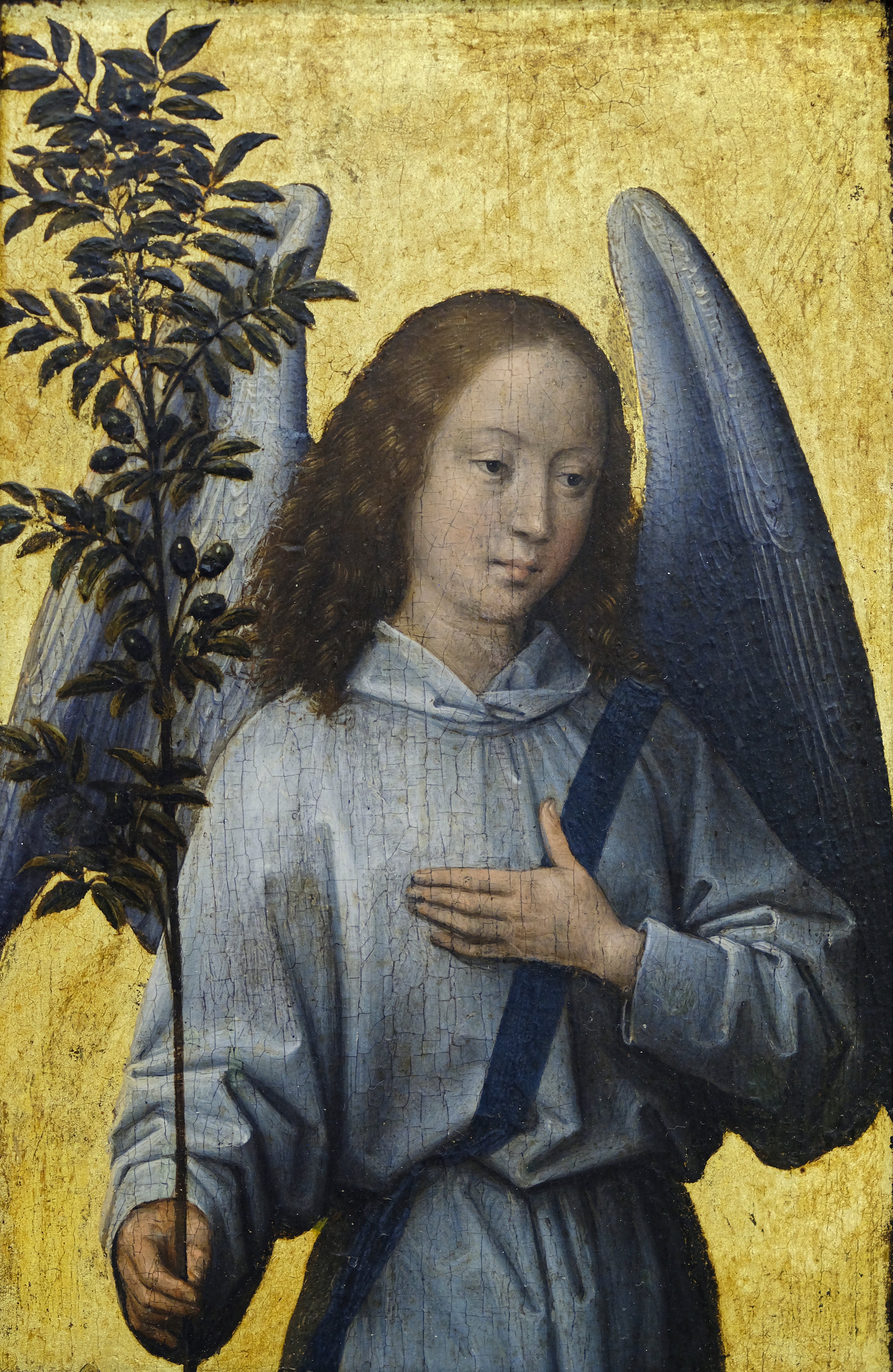 Ange locataire un rameau d'olivier - Hans Memling
