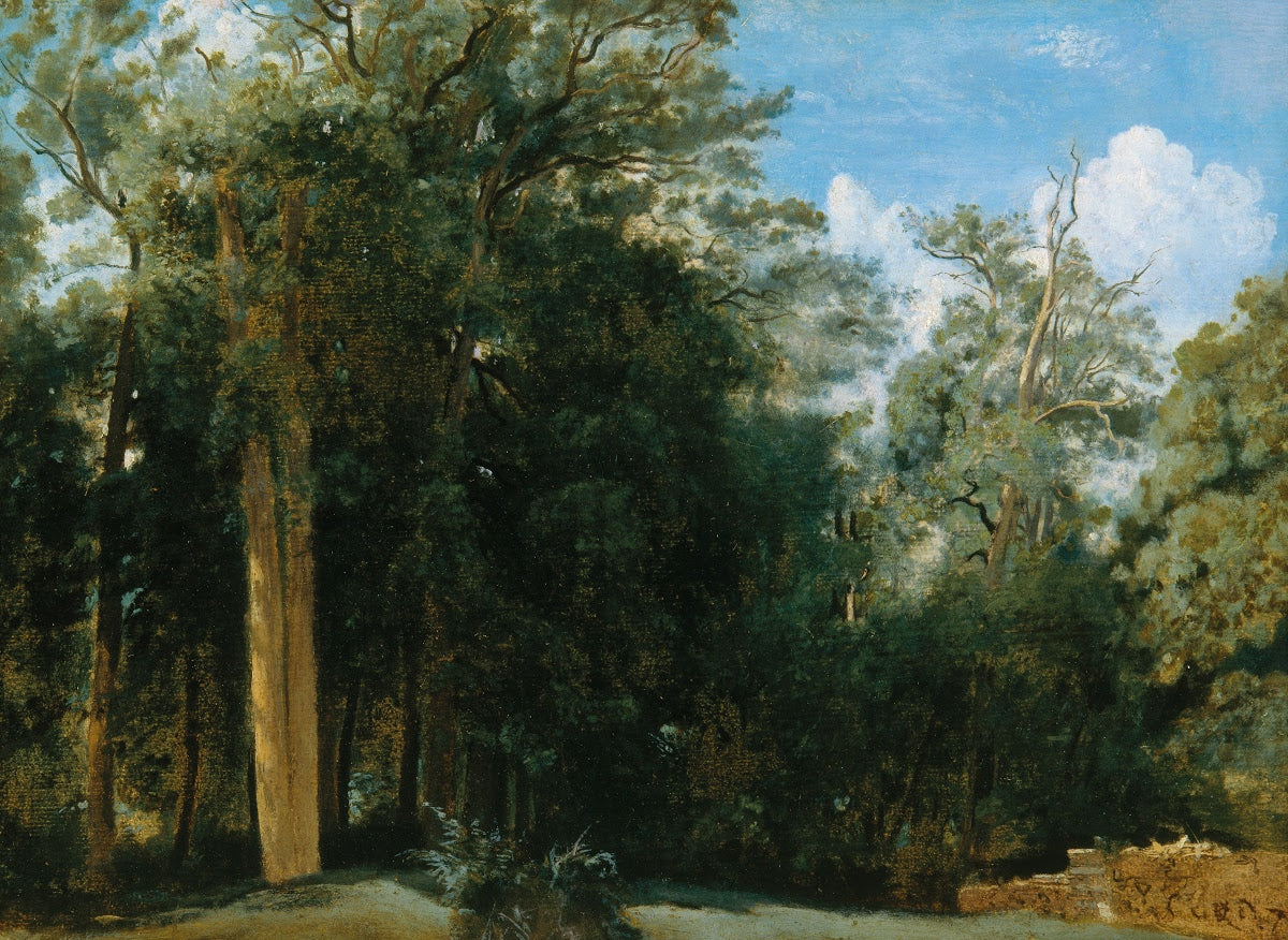 Fontainebleau. Lisière de forêt avec un petit mur - Jean-Baptiste Camille Corot