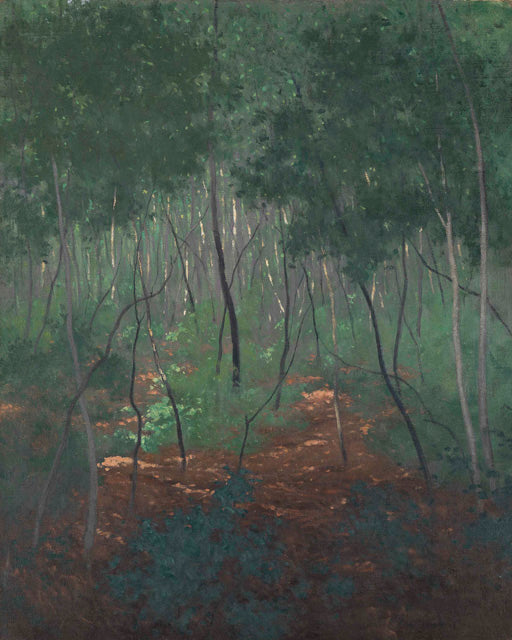 Sous-bois, arbres légers - Félix Vallotton