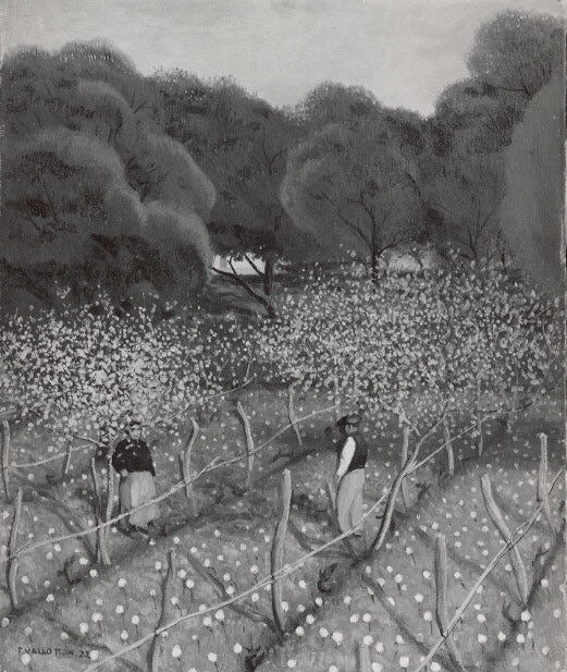 Pêchers en fleurs, Provence - Félix Vallotton