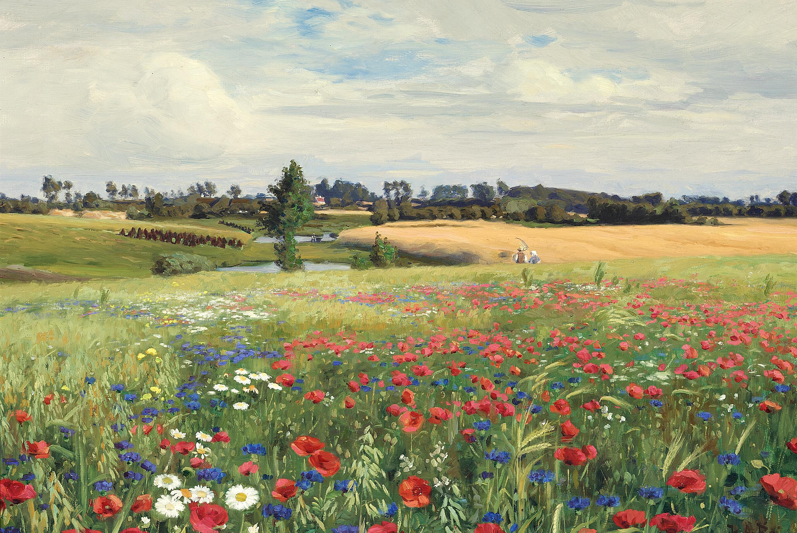Un champ de bleuets, de coquelicots et de marguerites. - H. A. Brendekilde