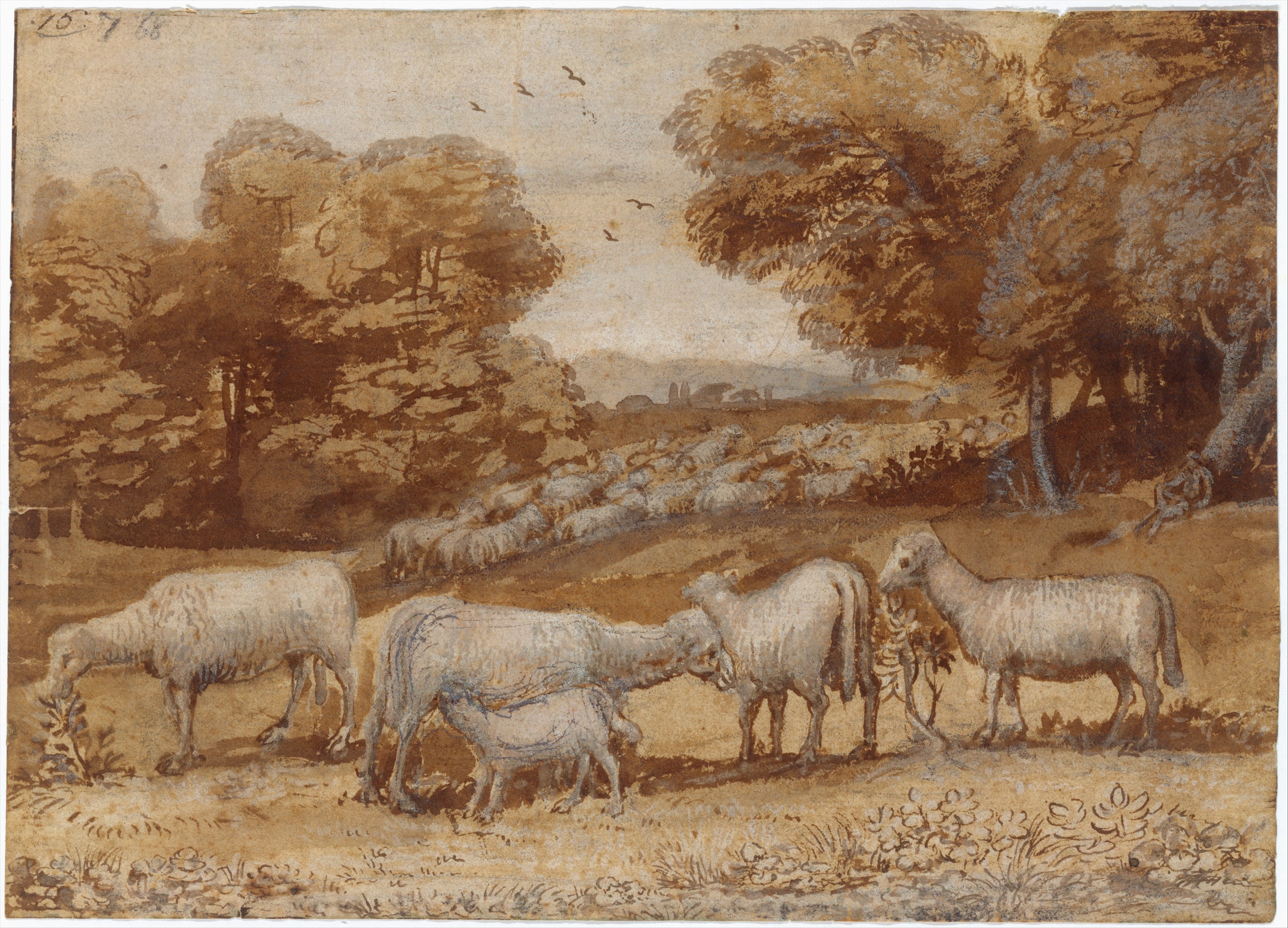 Paysage avec des moutons - Claude Lorrain