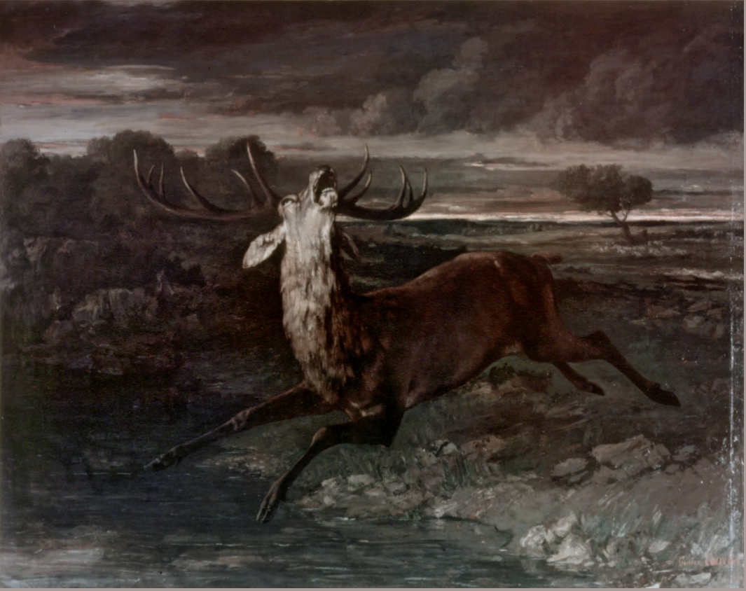 Le Cerf à l'eau - Gustave Courbet