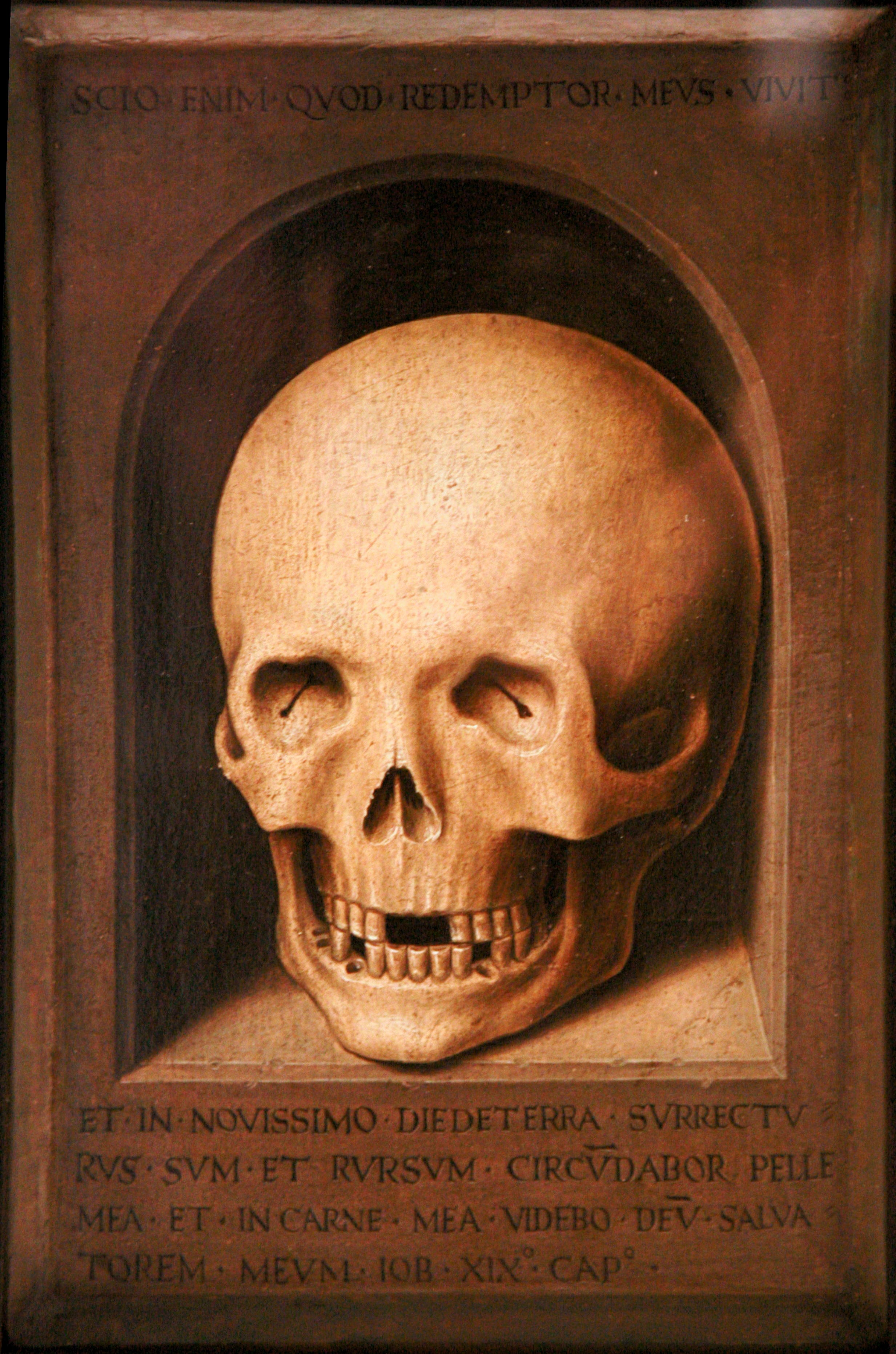 Une tête de mort - Hans Memling