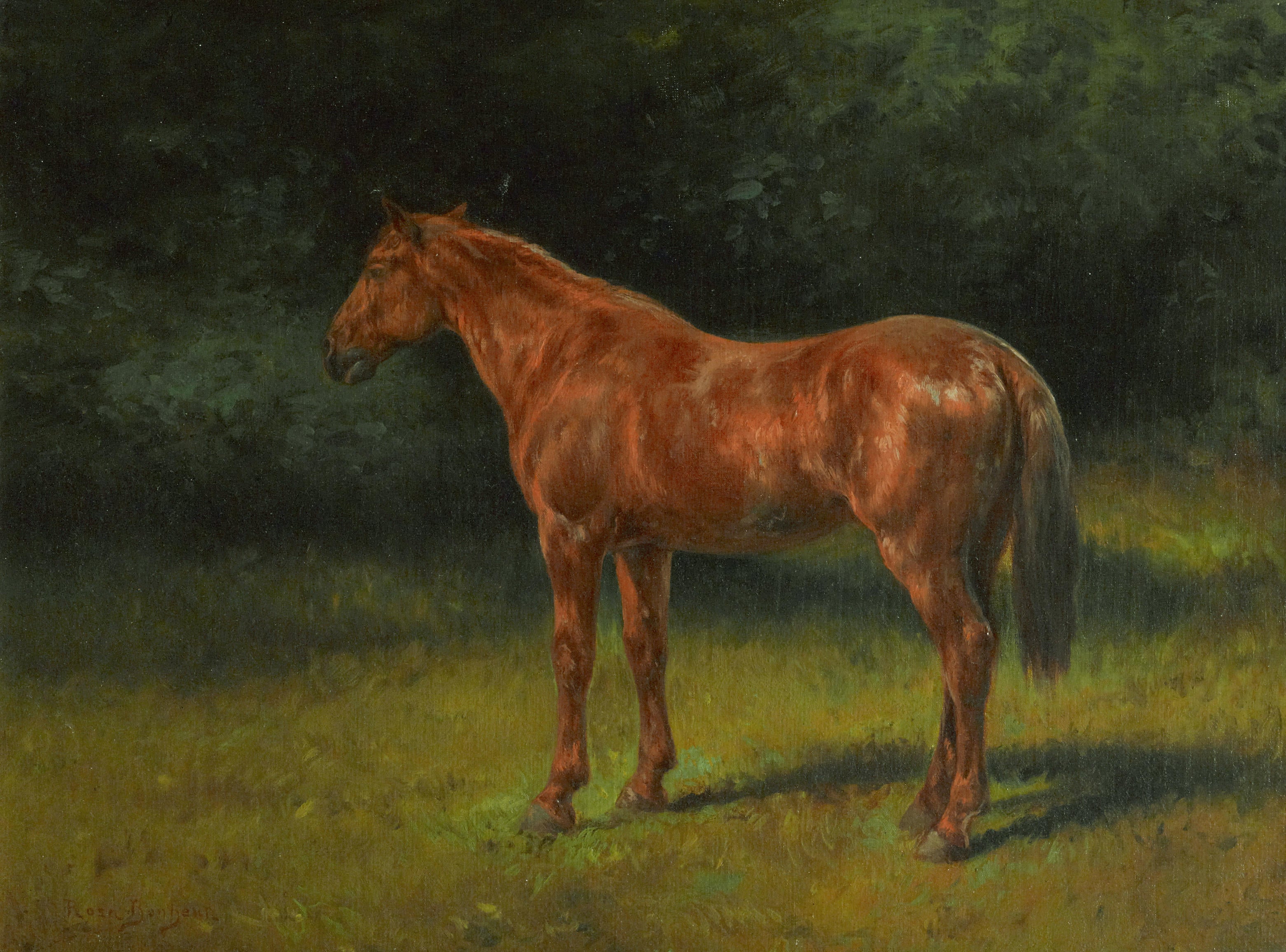 L'oseille rouge - Rosa Bonheur