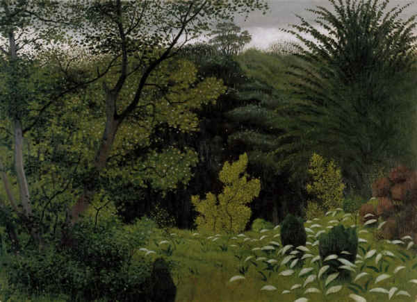 Sous-bois - Félix Vallotton
