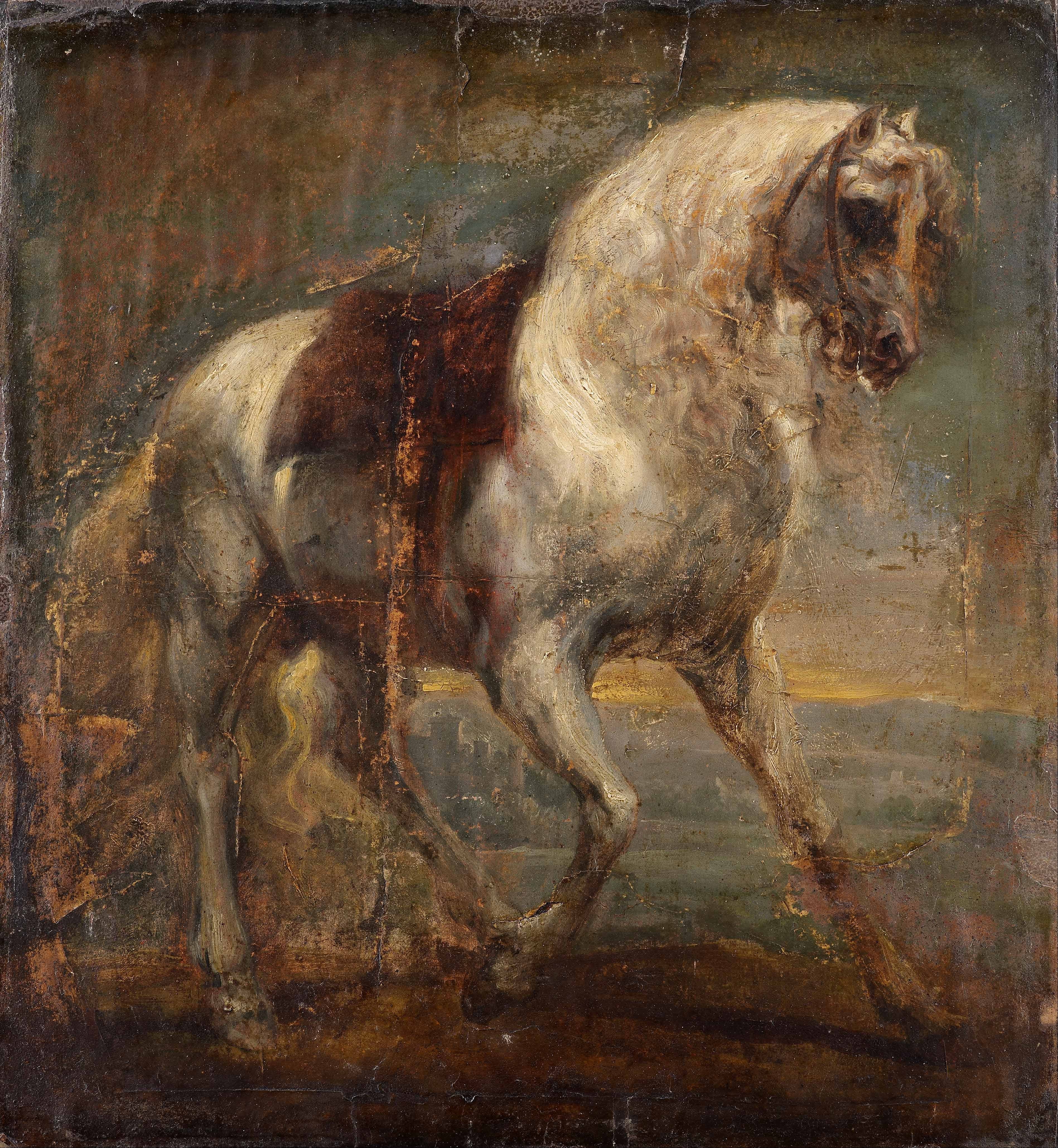 Un cheval gris - Antoine van Dyck