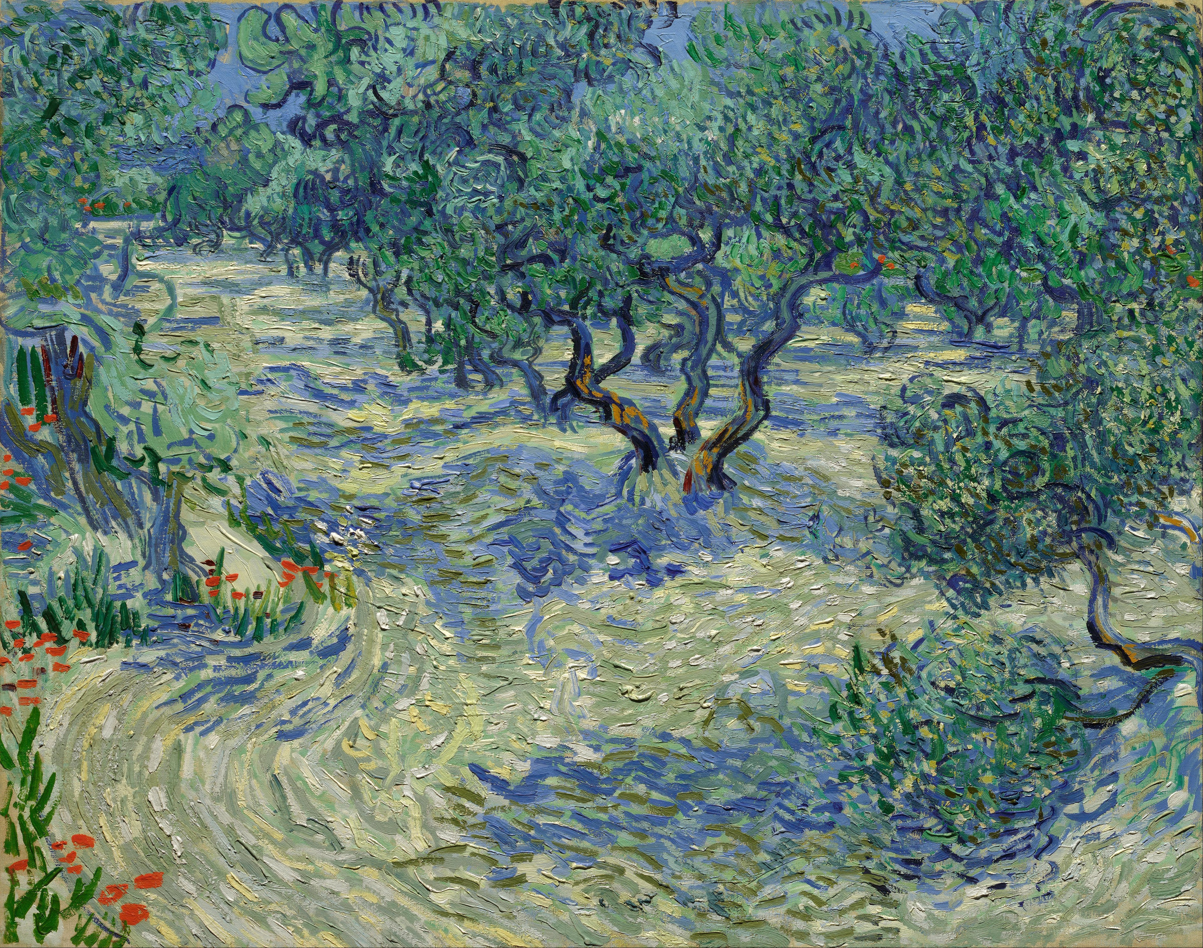 Reproduction du tableau « Oliveraie - Vincent van Gogh » par Alpha Reproduction en peinture à l’huile