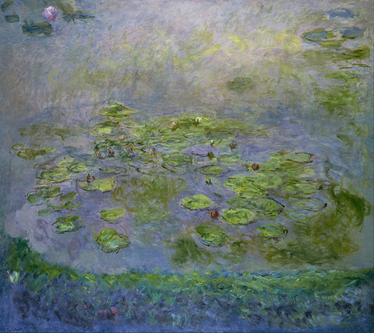 🌿 Кувшинки на берегу пруда