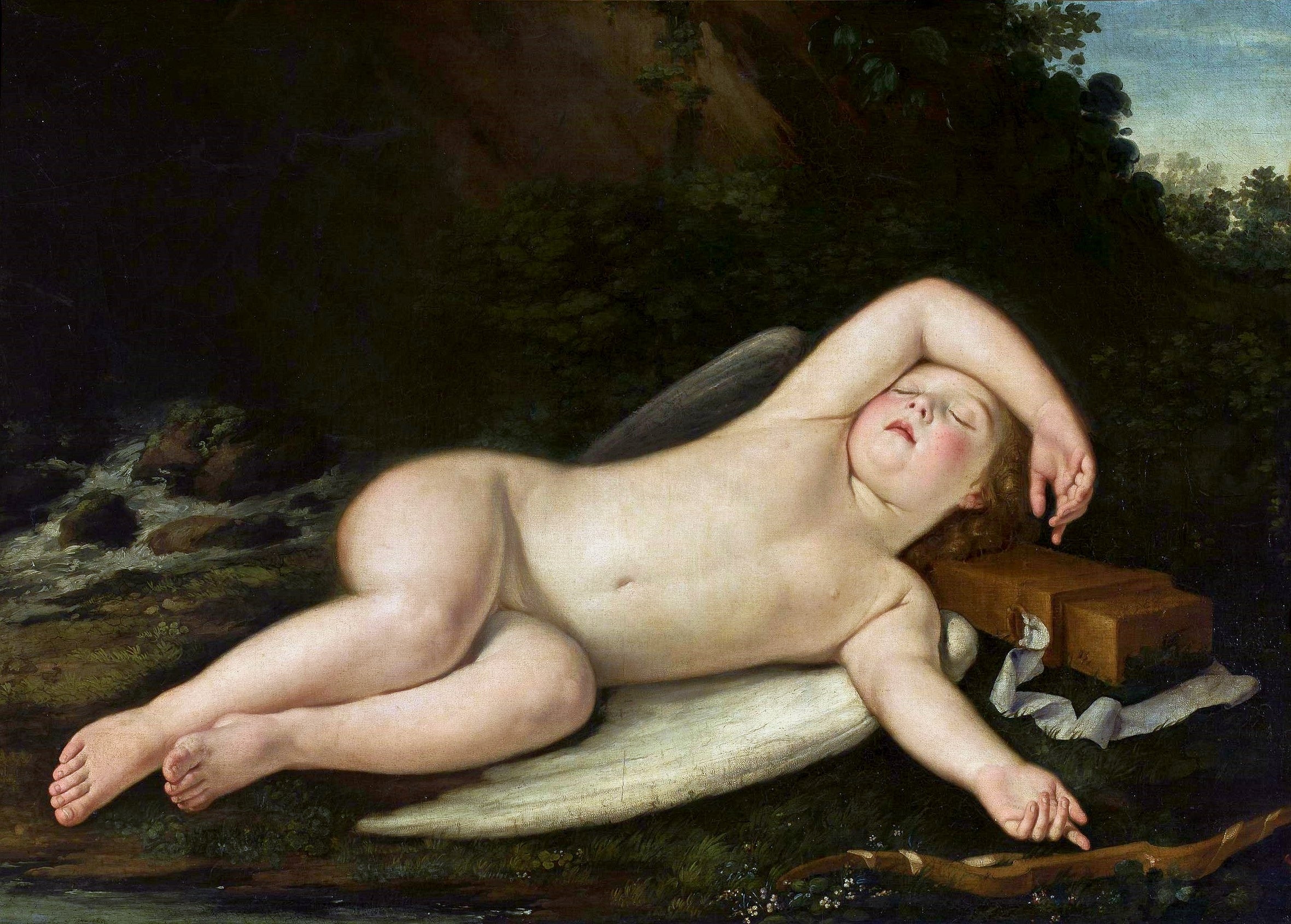 Amour endormi. - Francesco Albani