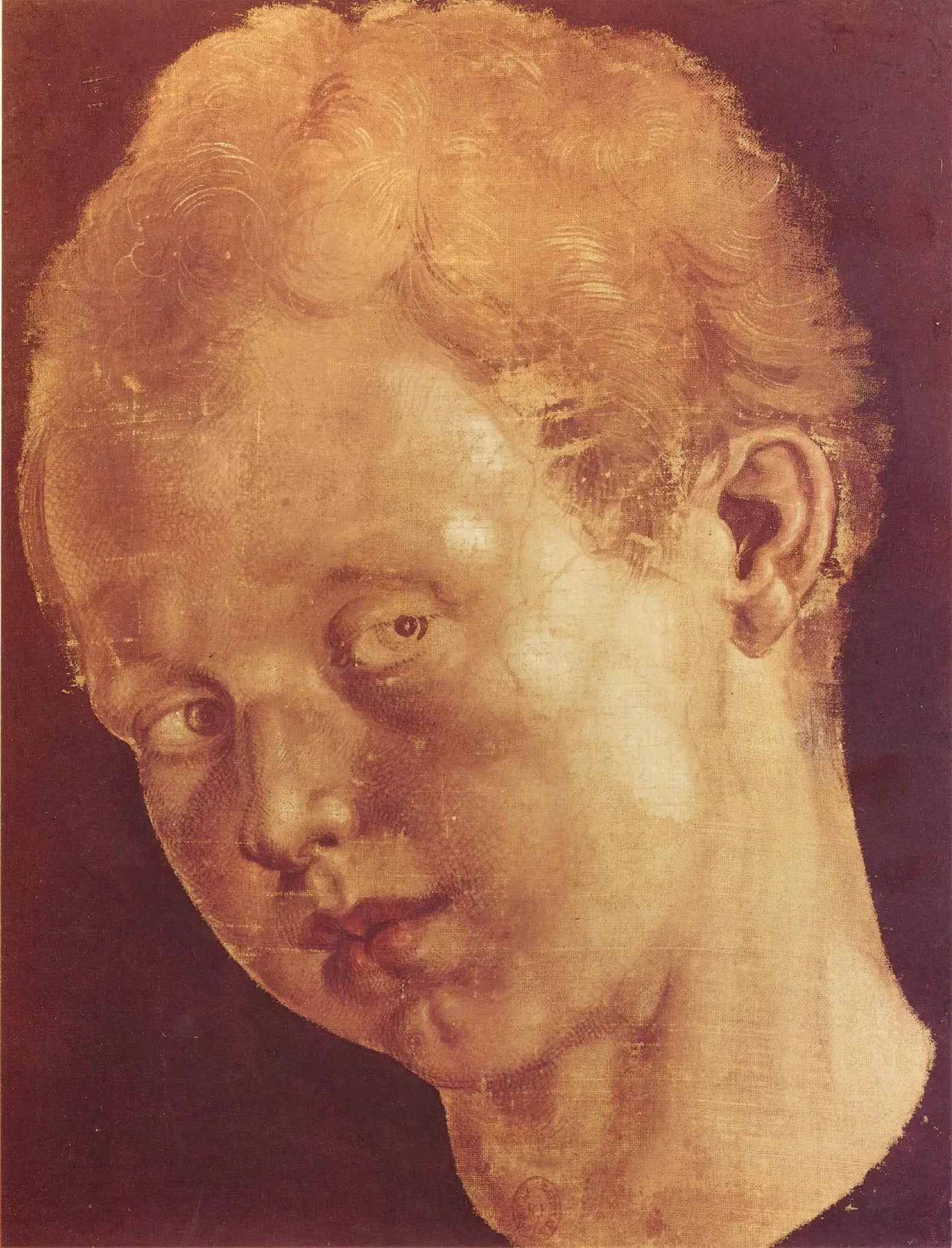 Q124458968 - Albrecht Dürer - Alpha Reproduction