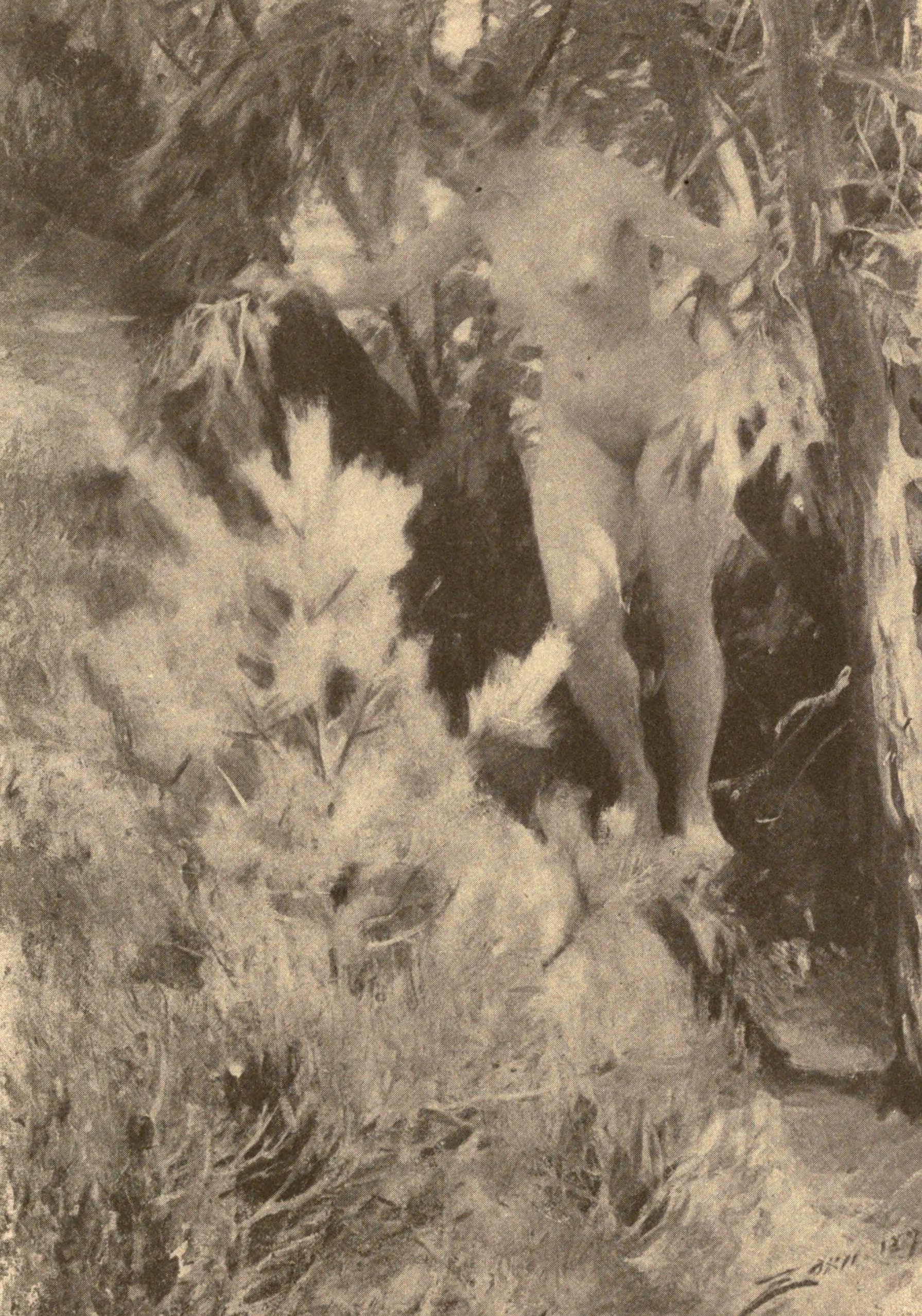 Nu sous un arbre - Anders Zorn