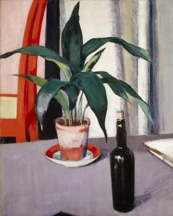 Aspidistra и бутылка на столе - Фрэнсис Кэдел