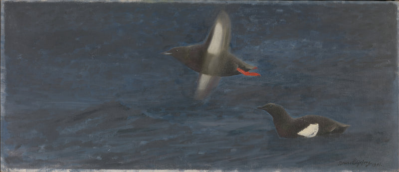 Cochons-bleus - Bruno Liljefors