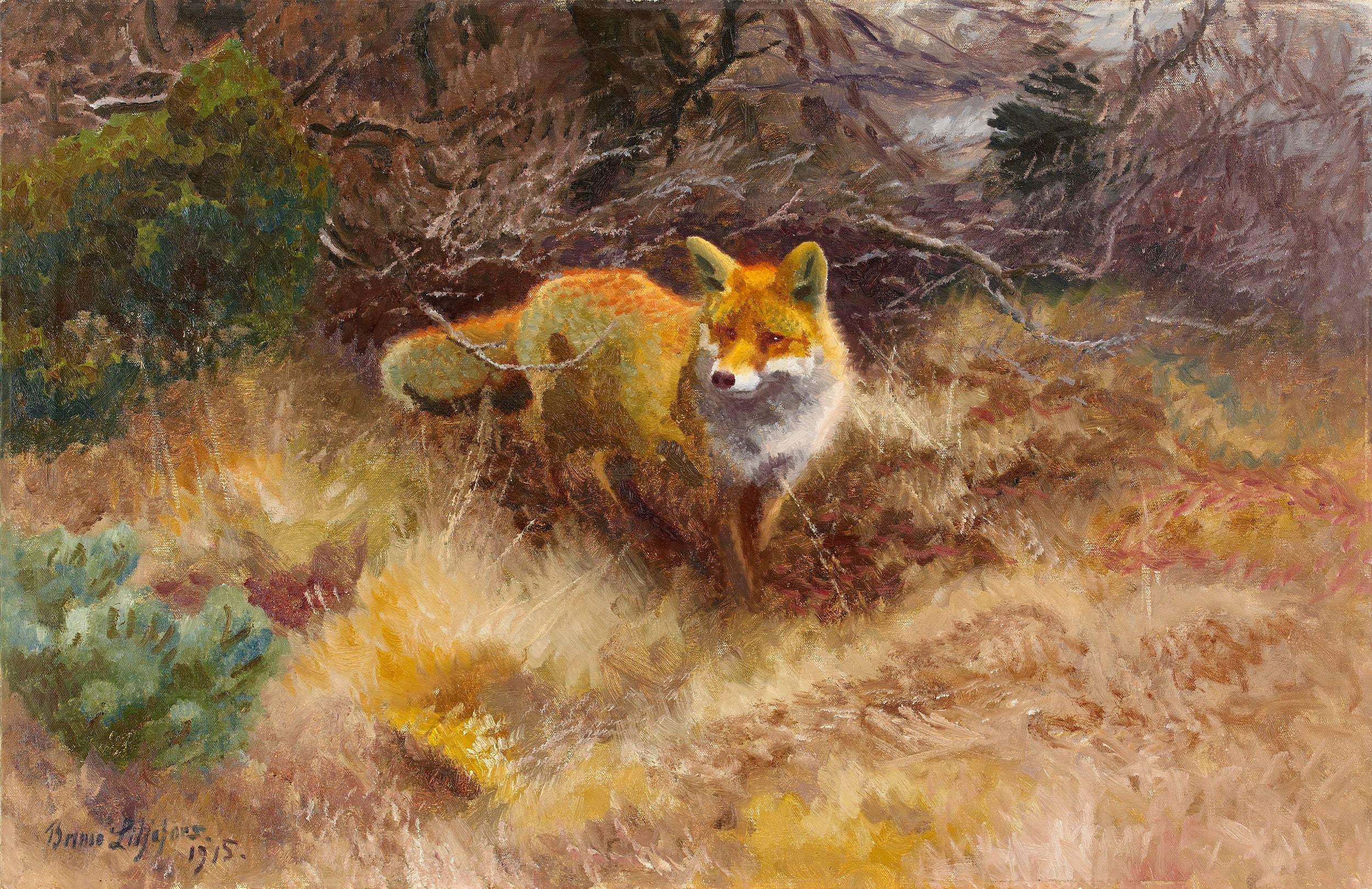 Le renard et le paysage - Bruno Liljefors