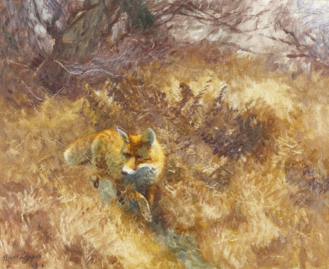 Renard dans un paysage d'automne - Bruno Liljefors