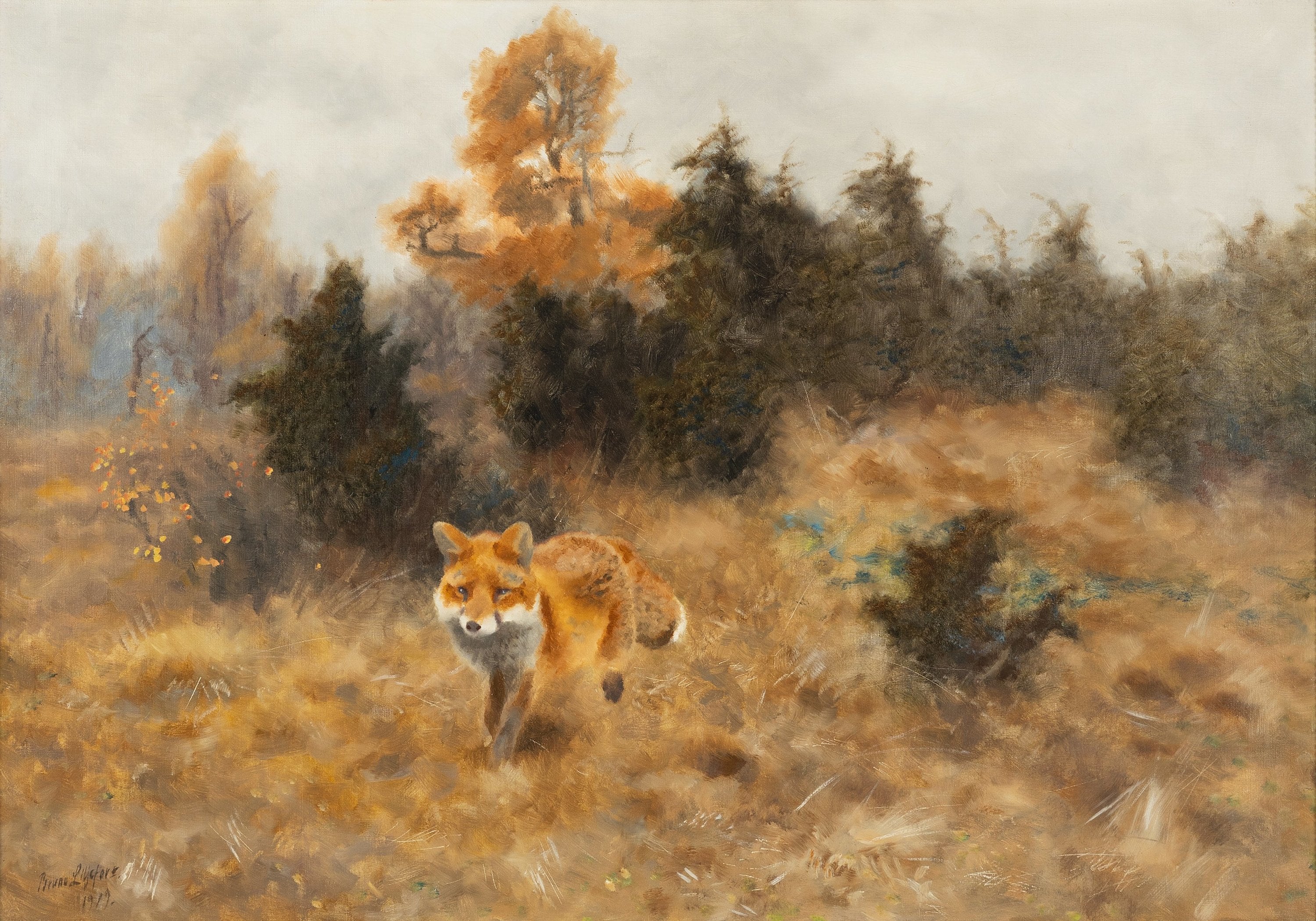 Renard dans un paysage d'automne - Bruno Liljefors