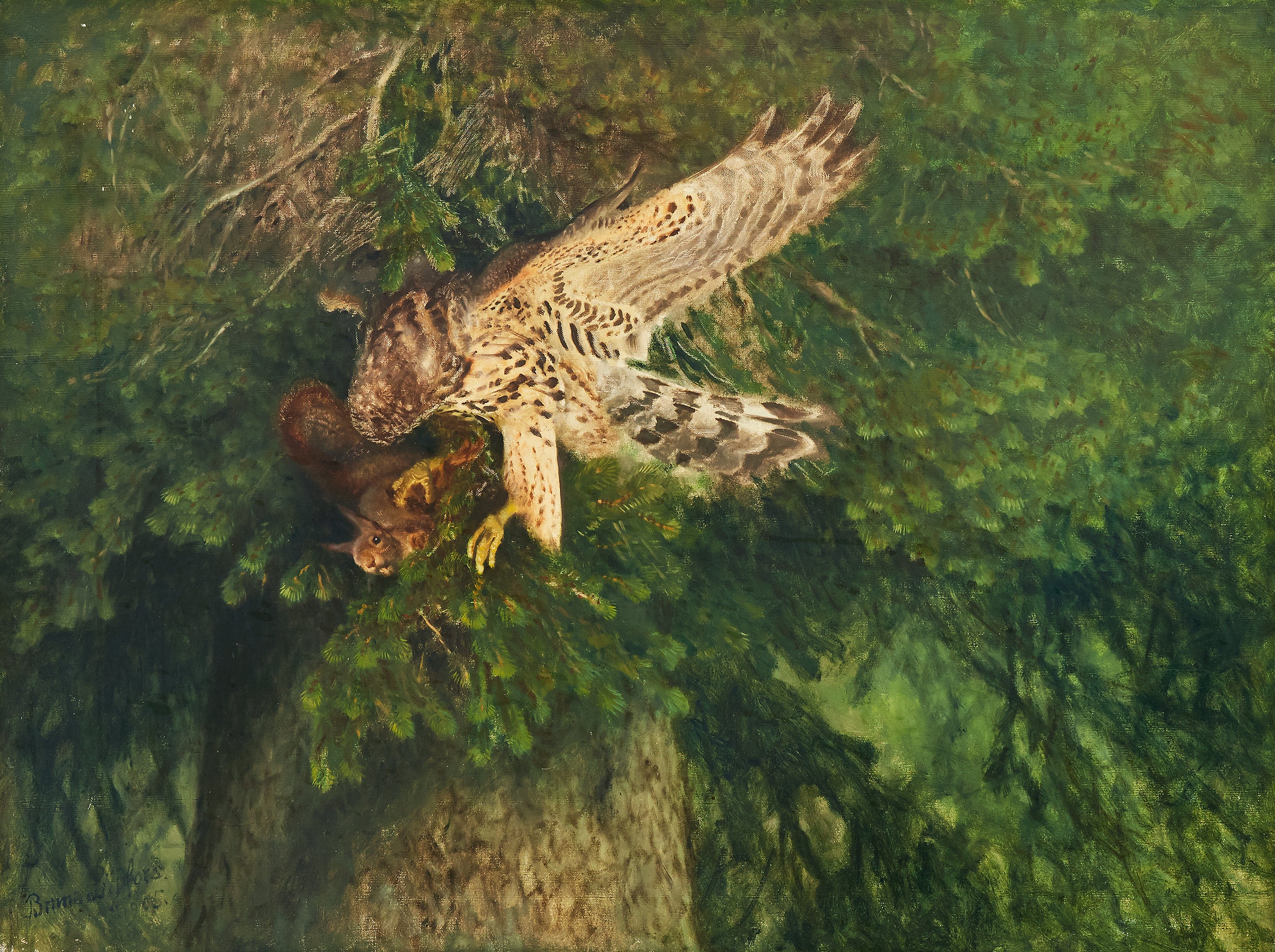 Autour des palombes et écureuil - Bruno Liljefors