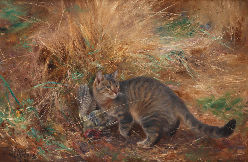 Chat avec un pic vert européen - Bruno Liljefors