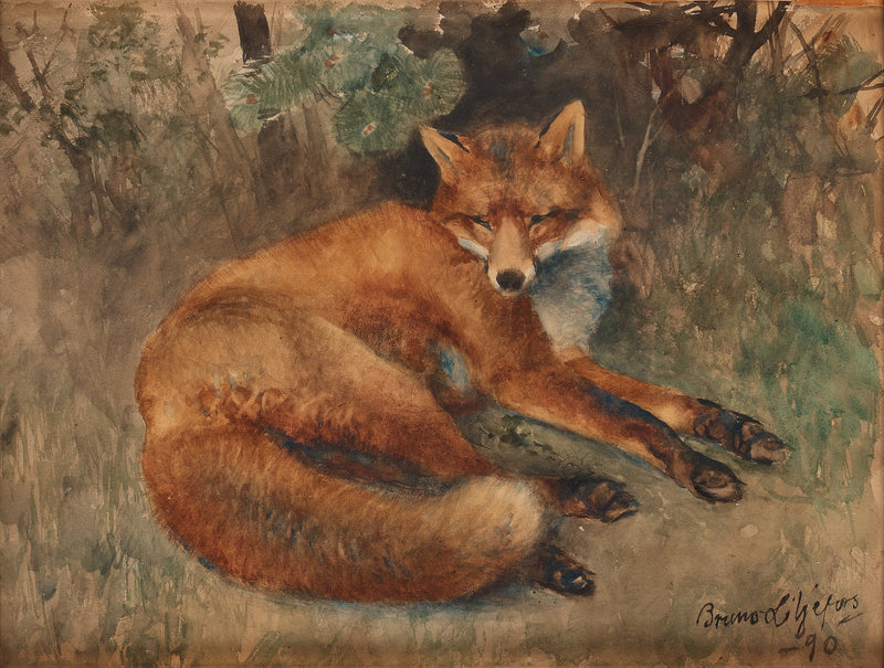 Renard au repos - Bruno Liljefors