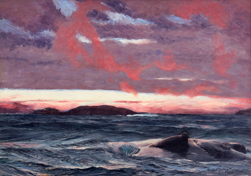 Phoque sur un îlot au coucher du soleil - Bruno Liljefors