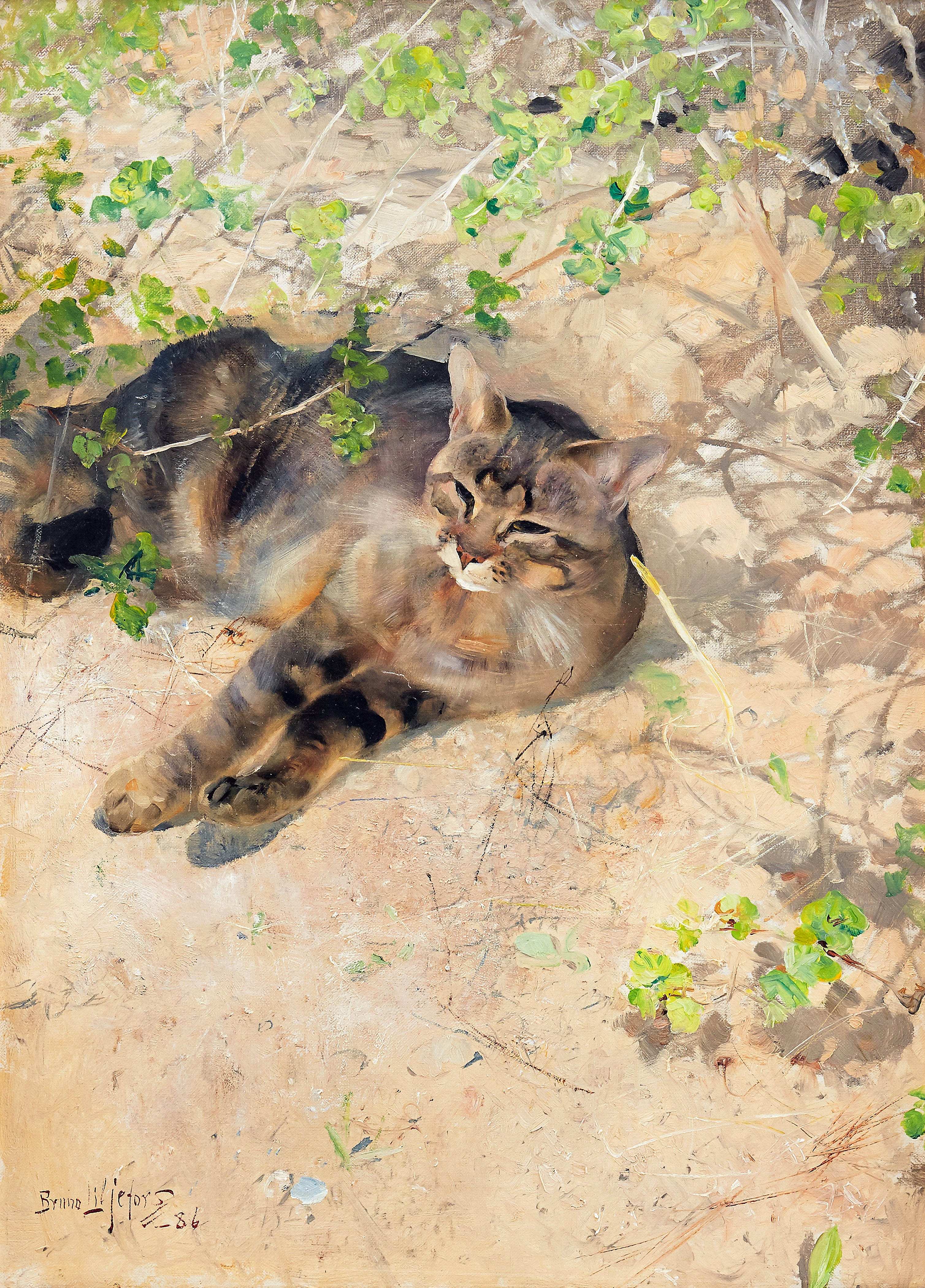 Jeppe le chat sous le soleil printanier - Bruno Liljefors