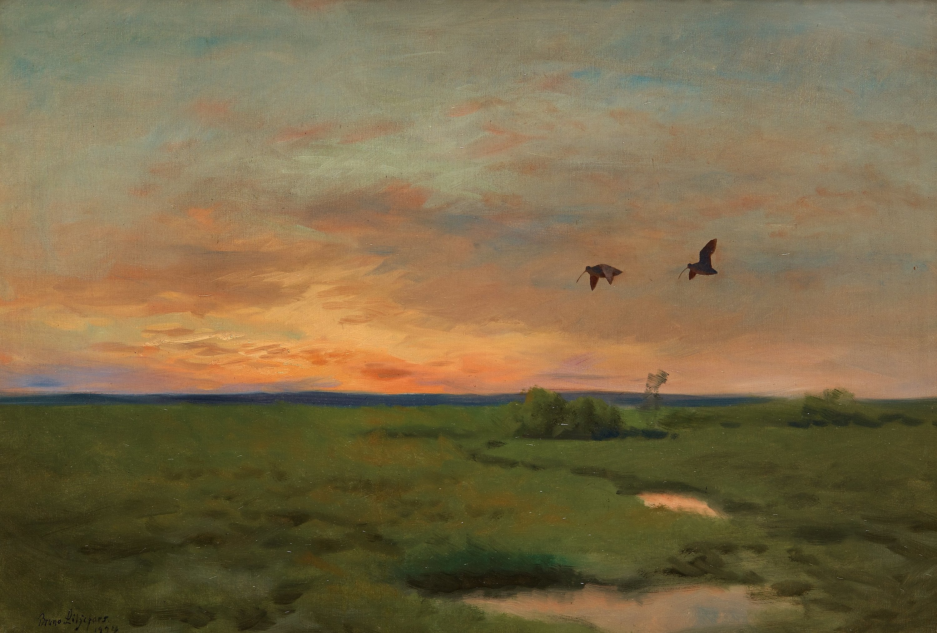 prairie de barges - Bruno Liljefors