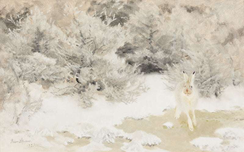 Lièvre d'hiver - Bruno Liljefors
