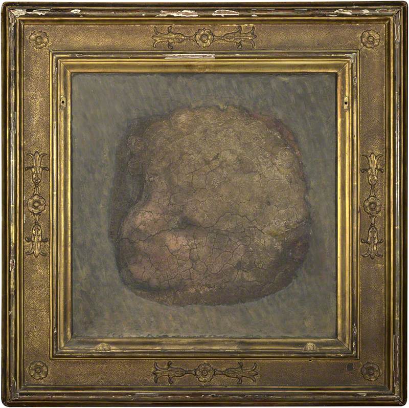 Tête d'ange - Antonio da Correggio