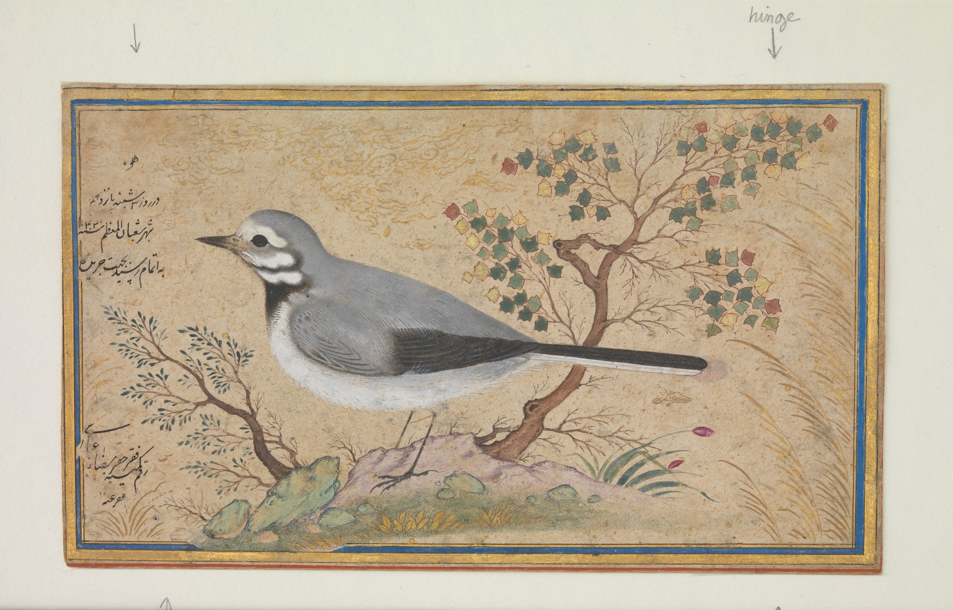 Étude d’oiseau, Riza-yi 'Abbasi, dated 1043 AH/1634 CE