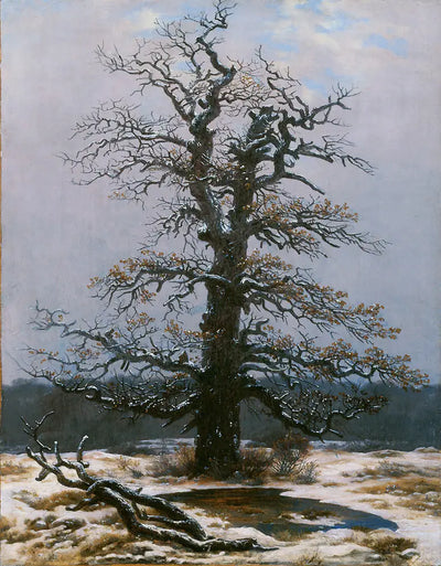 Reproduction du tableau « Chêne sous la neige - Caspar David Friedrich » par Alpha Reproduction en peinture à l’huile