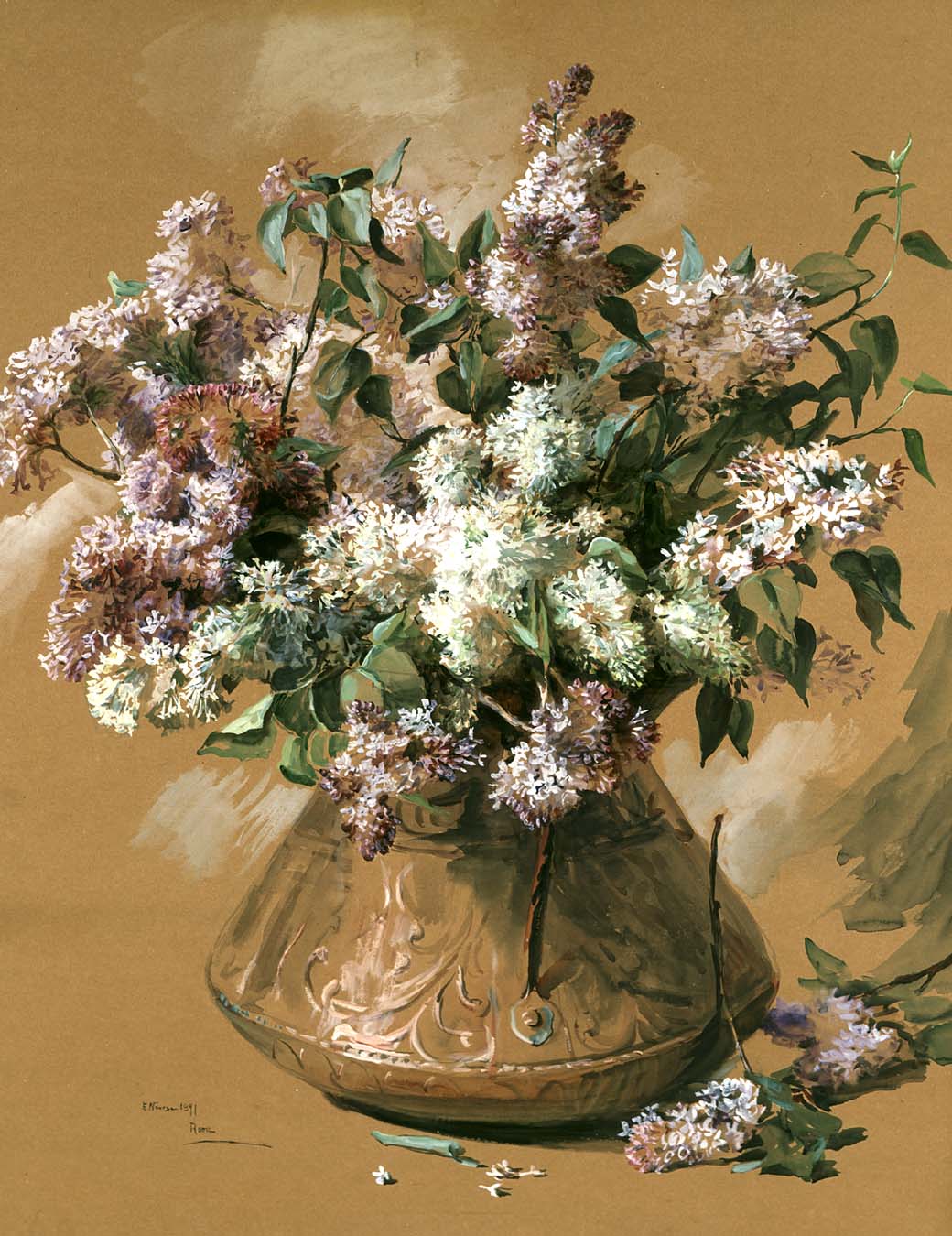 Lilas - Elizabeth Nourse