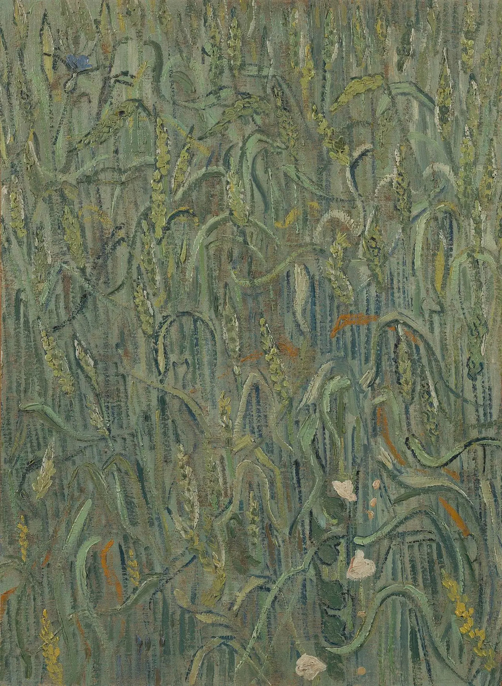 Épis de blé - Vincent van Gogh - Alpha Reproduction