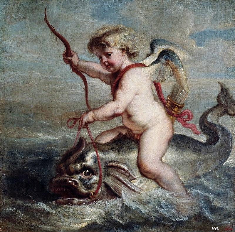 Cupidon sur un dauphin - Peter Paul Rubens