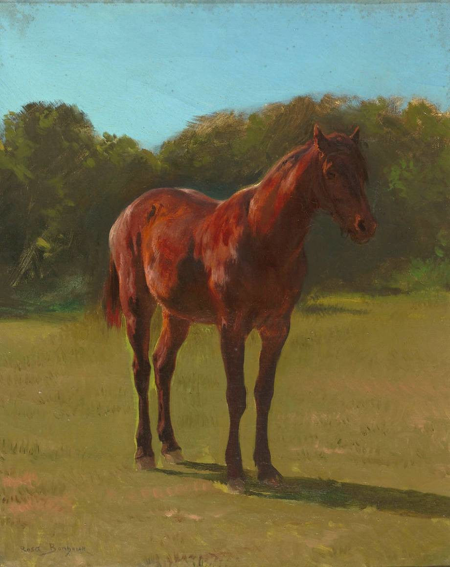Étude de cheval bai - Rosa Bonheur