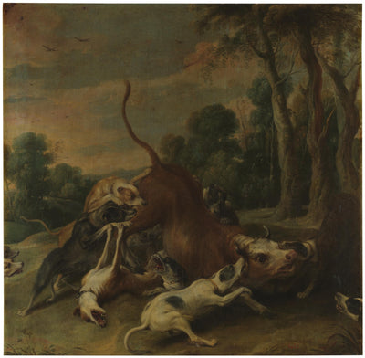 Un taureau maîtrisé par des chiens - Frans Snyders