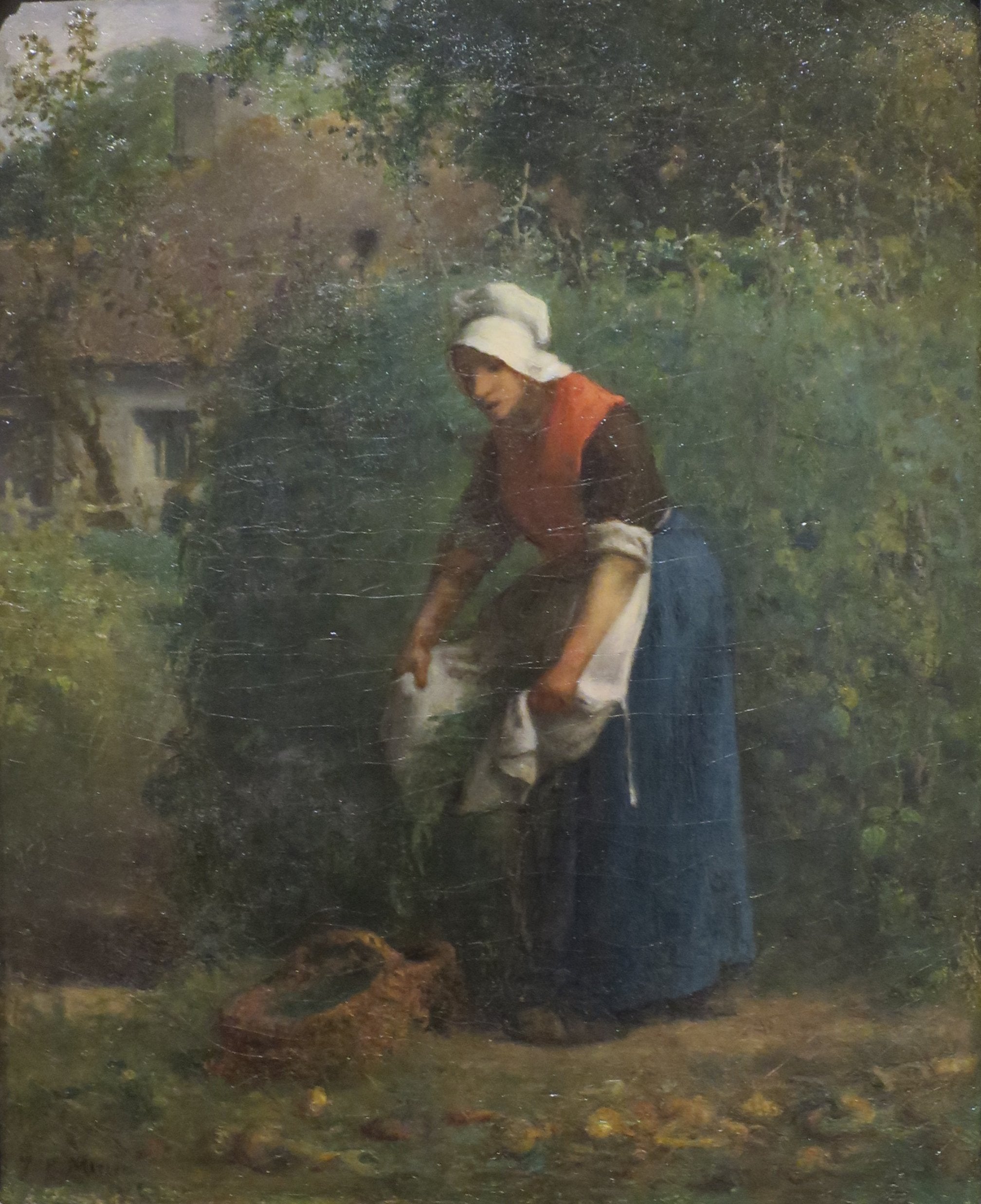 La Cueillette des haricots - Jean-François Millet