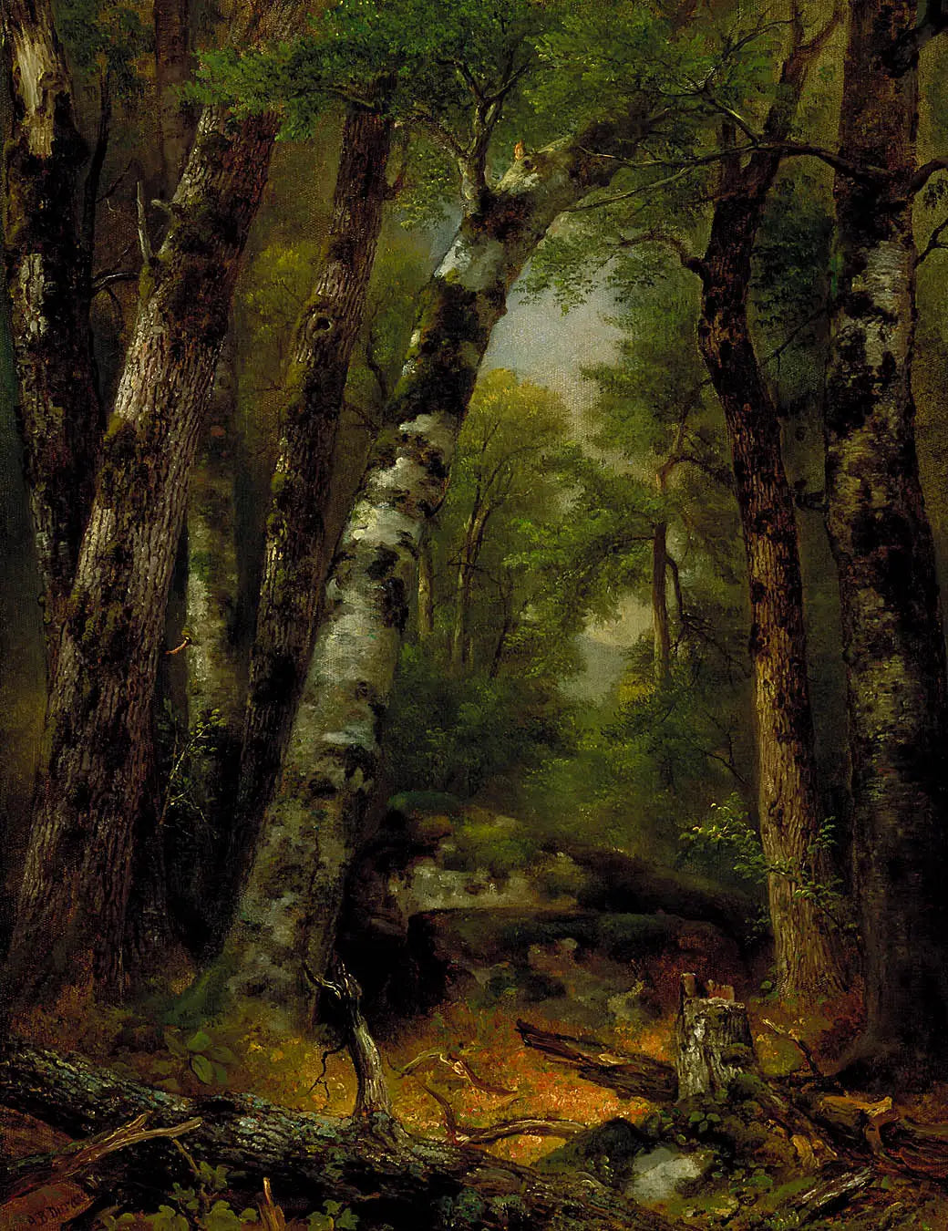 Woodland Glen - Asher Brown Durand - Alpha Reproduction