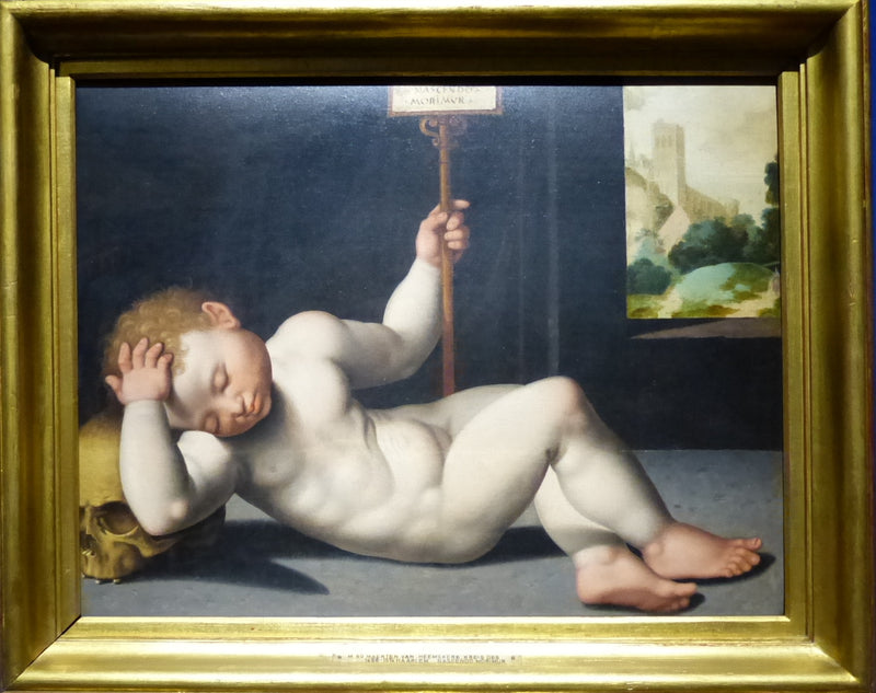 Nascendo morimur - Maarten van Heemskerck