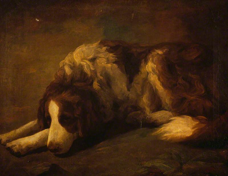 Un chien - Henry Raeburn