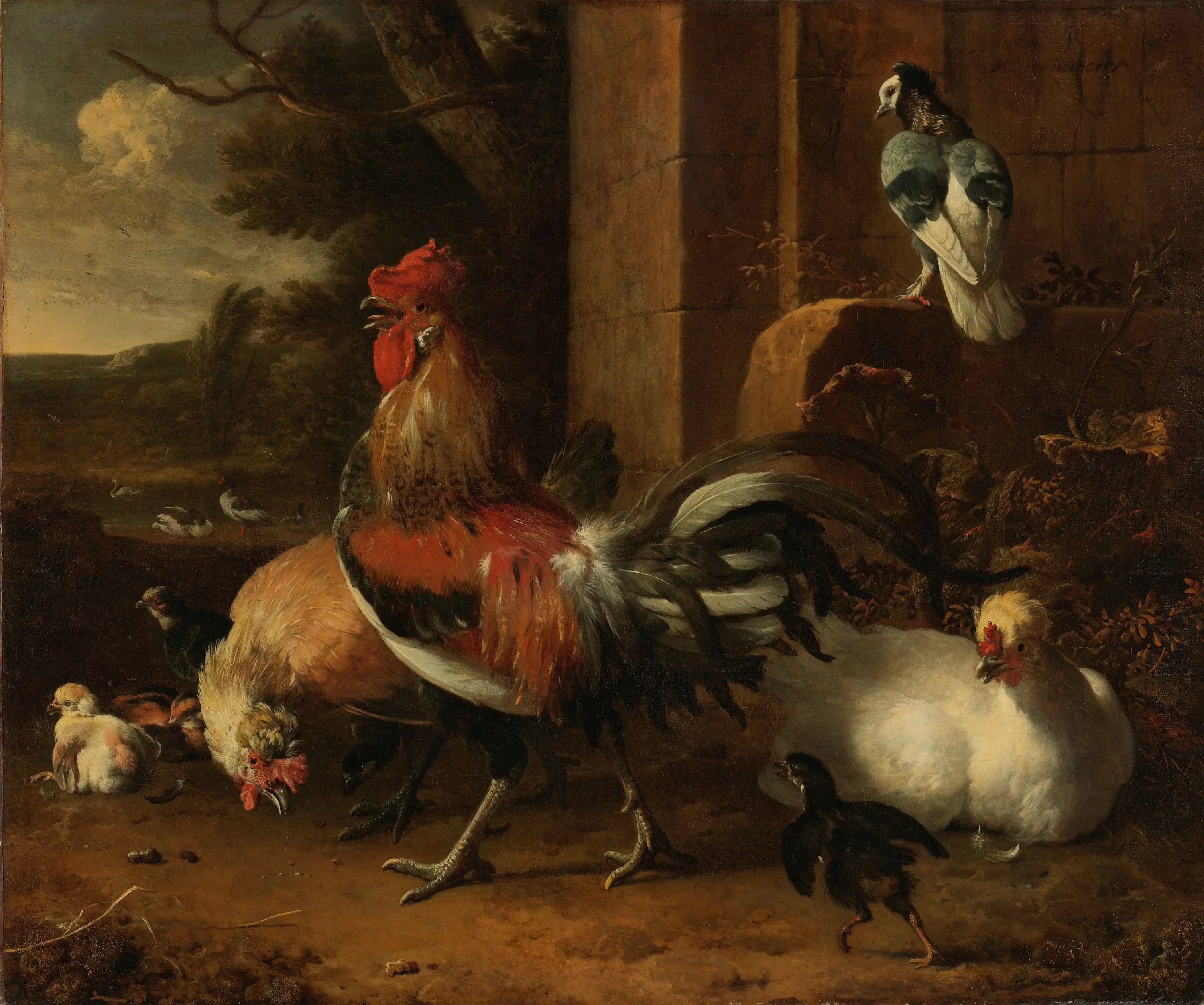 Une basse-cour - Melchior de Hondecoeter - Alpha Reproduction