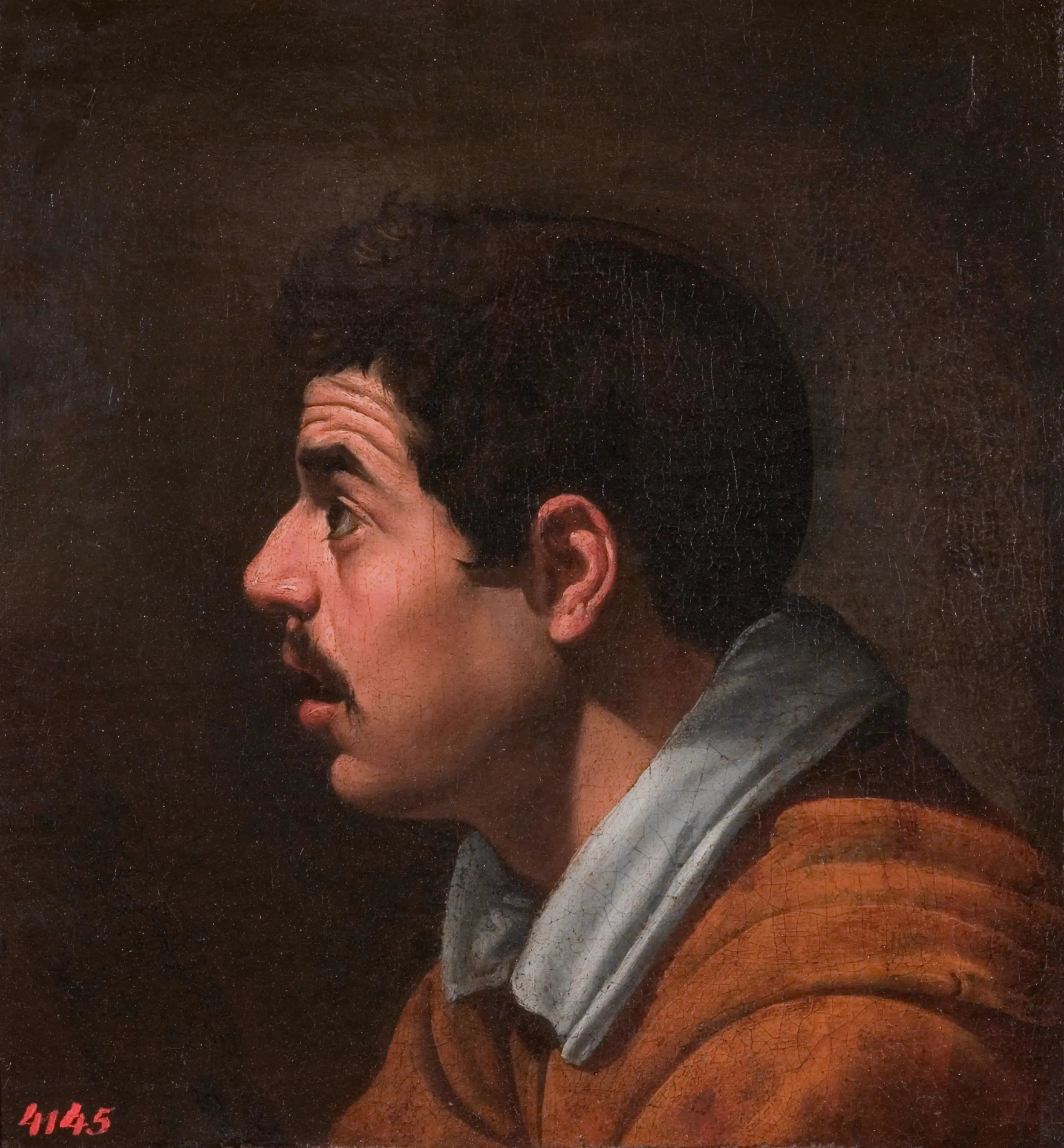 Tête d’homme jeune de profil - Diego Velázquez - Alpha Reproduction