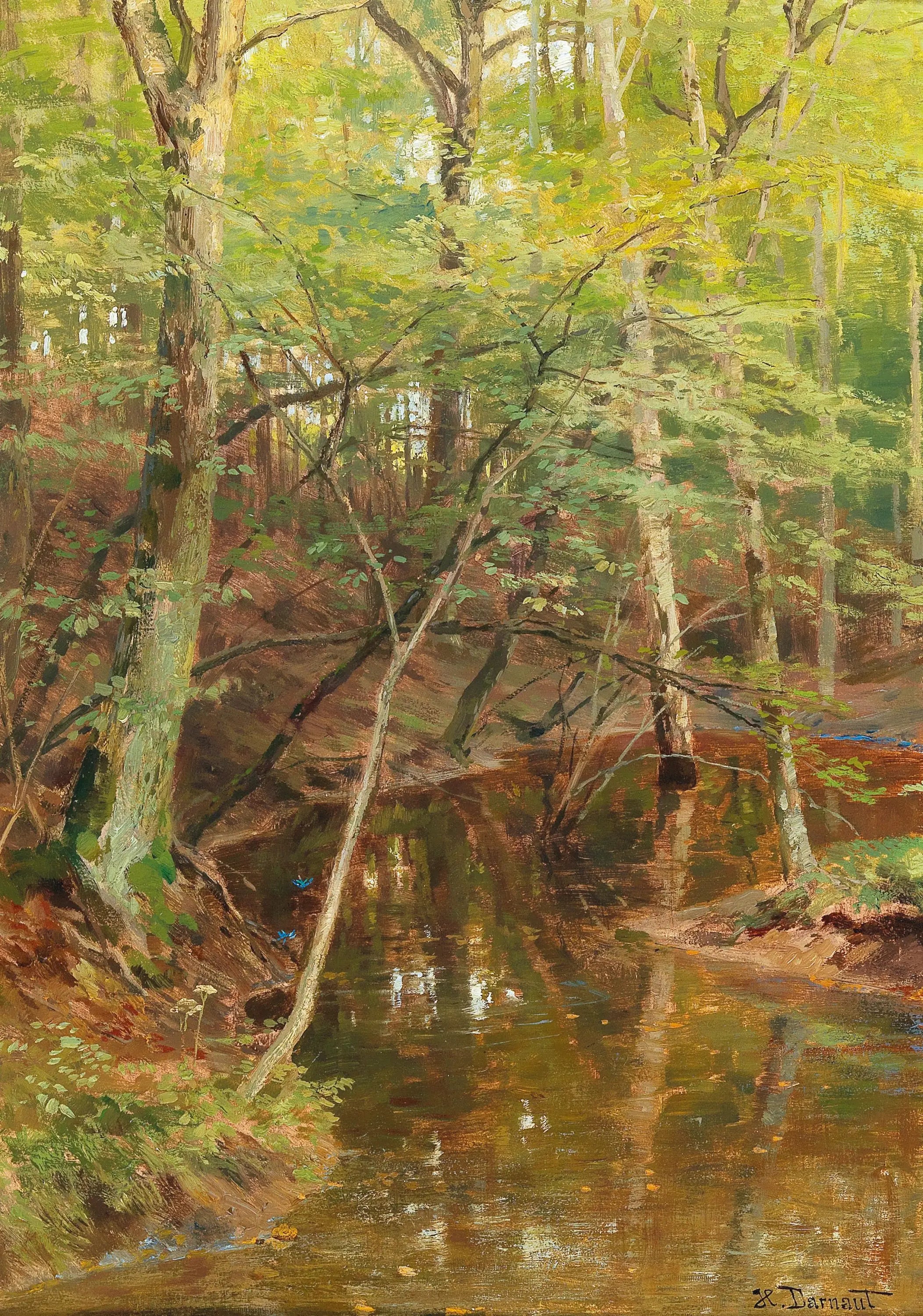 Ruisseau Woodland - Hugo Darnaut - Alpha Reproduction