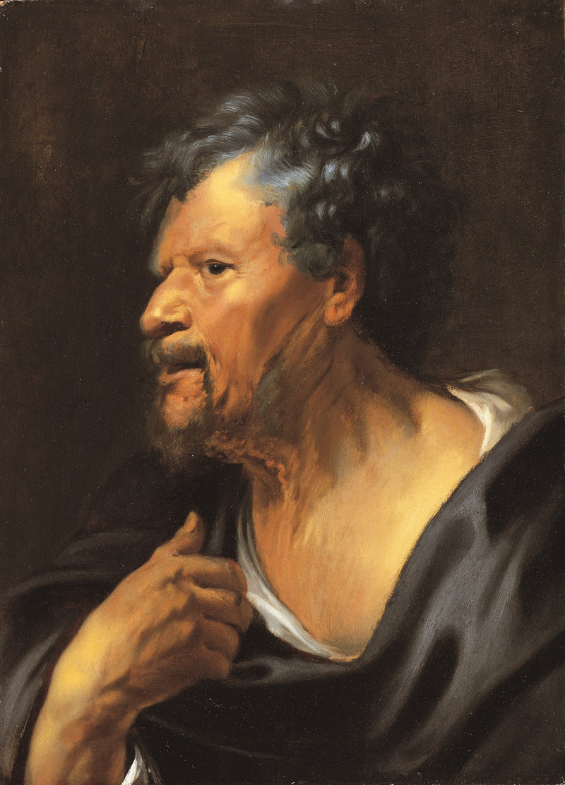 Tête d'un vieil homme - Jacob Jordaens