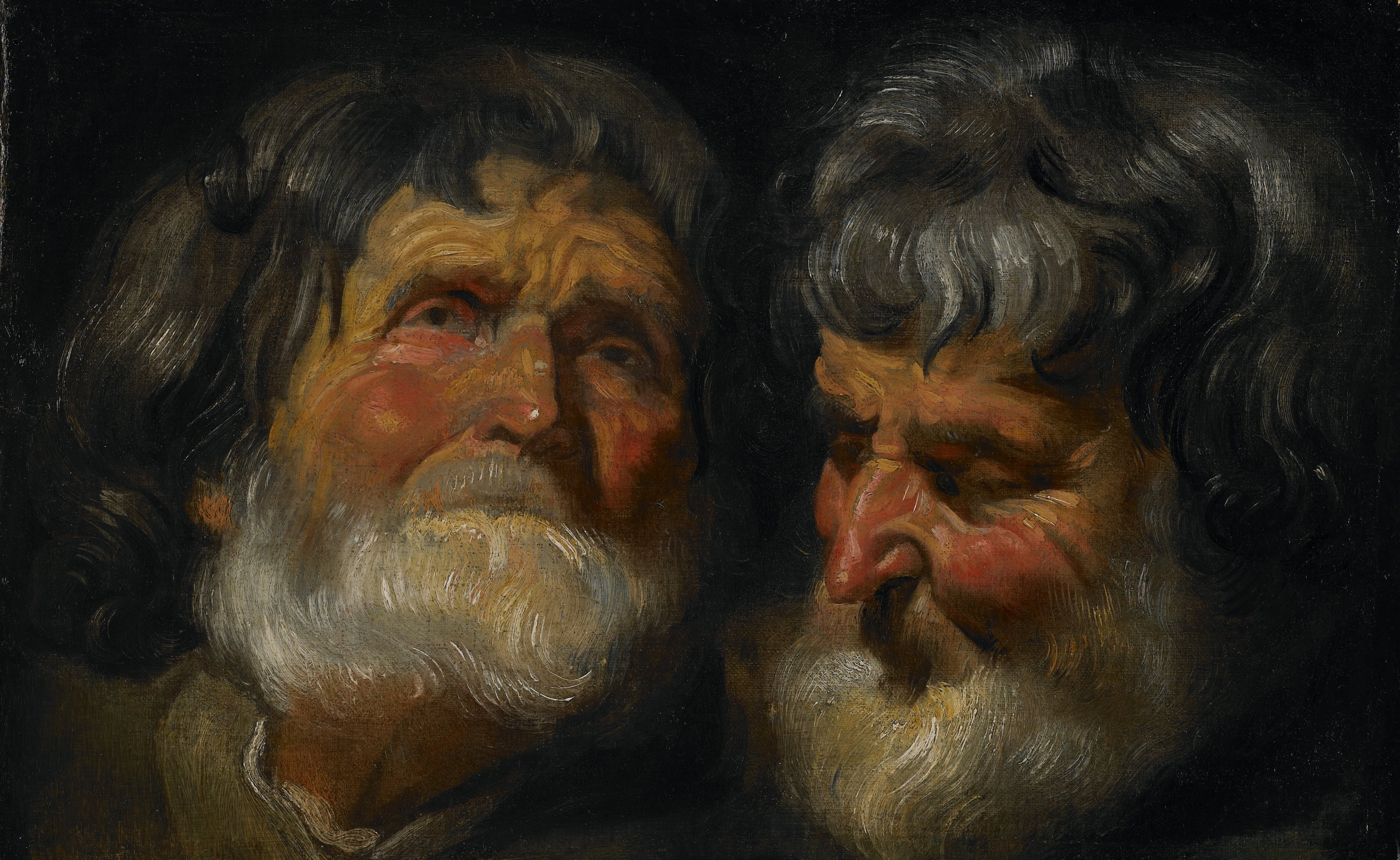 Deux études de la tête d'un vieil homme - Jacob Jordaens