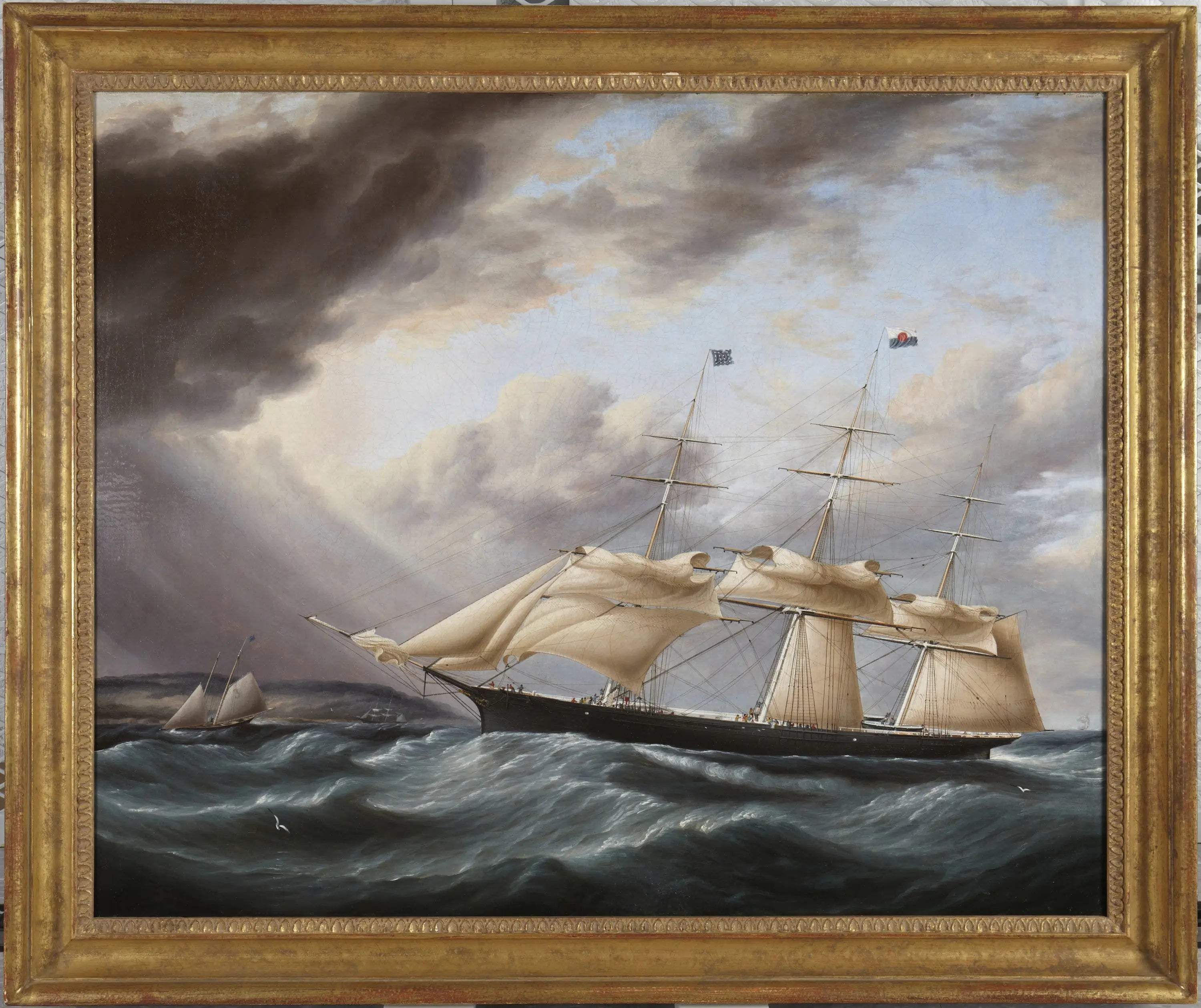 Navire clipper « Staghound » - James E. Buttersworth - Alpha Reproduction