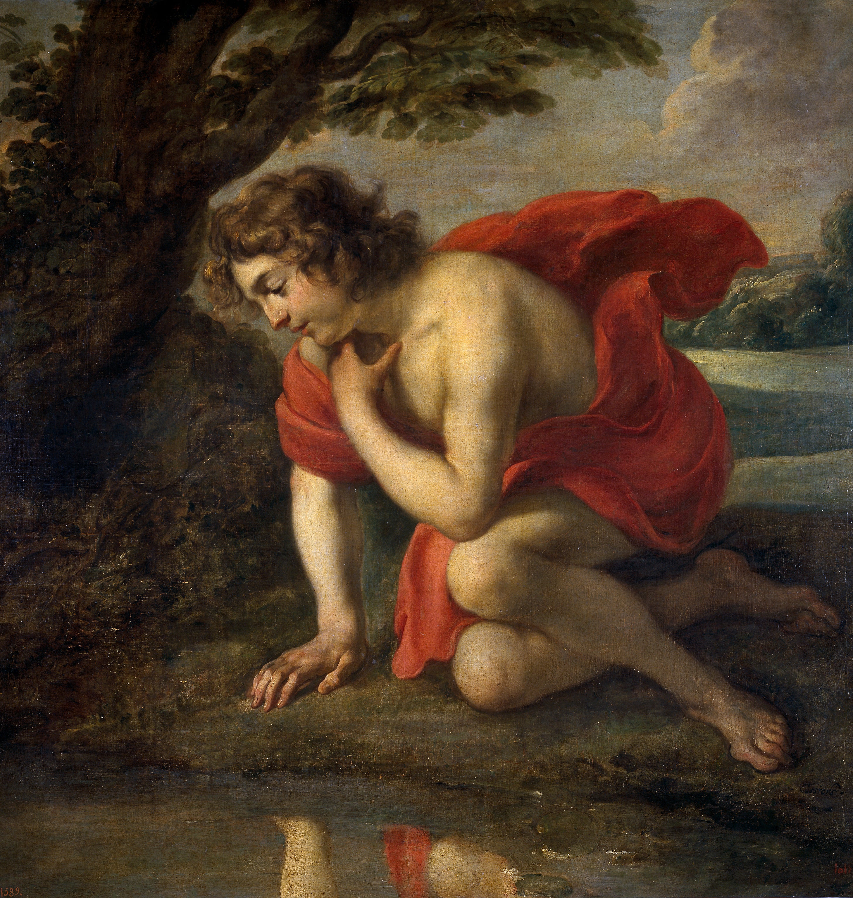 Narcisse - Peter Paul Rubens
