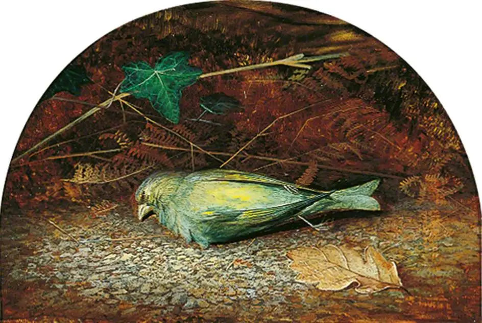 Une linotte morte - John Atkinson Grimshaw - Alpha Reproduction