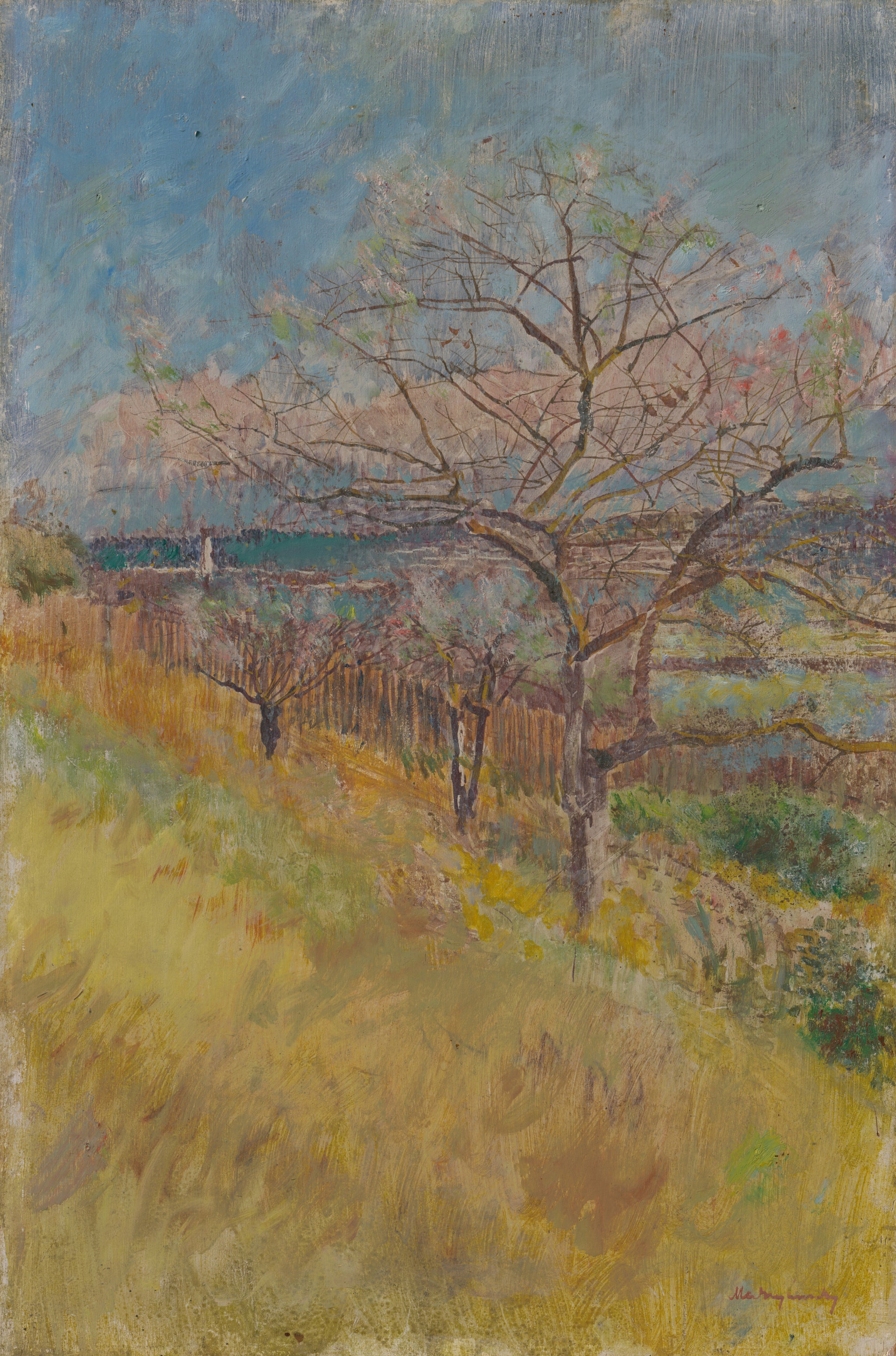Vallée aux arbres en fleurs, peinture de László Mednyánszky
